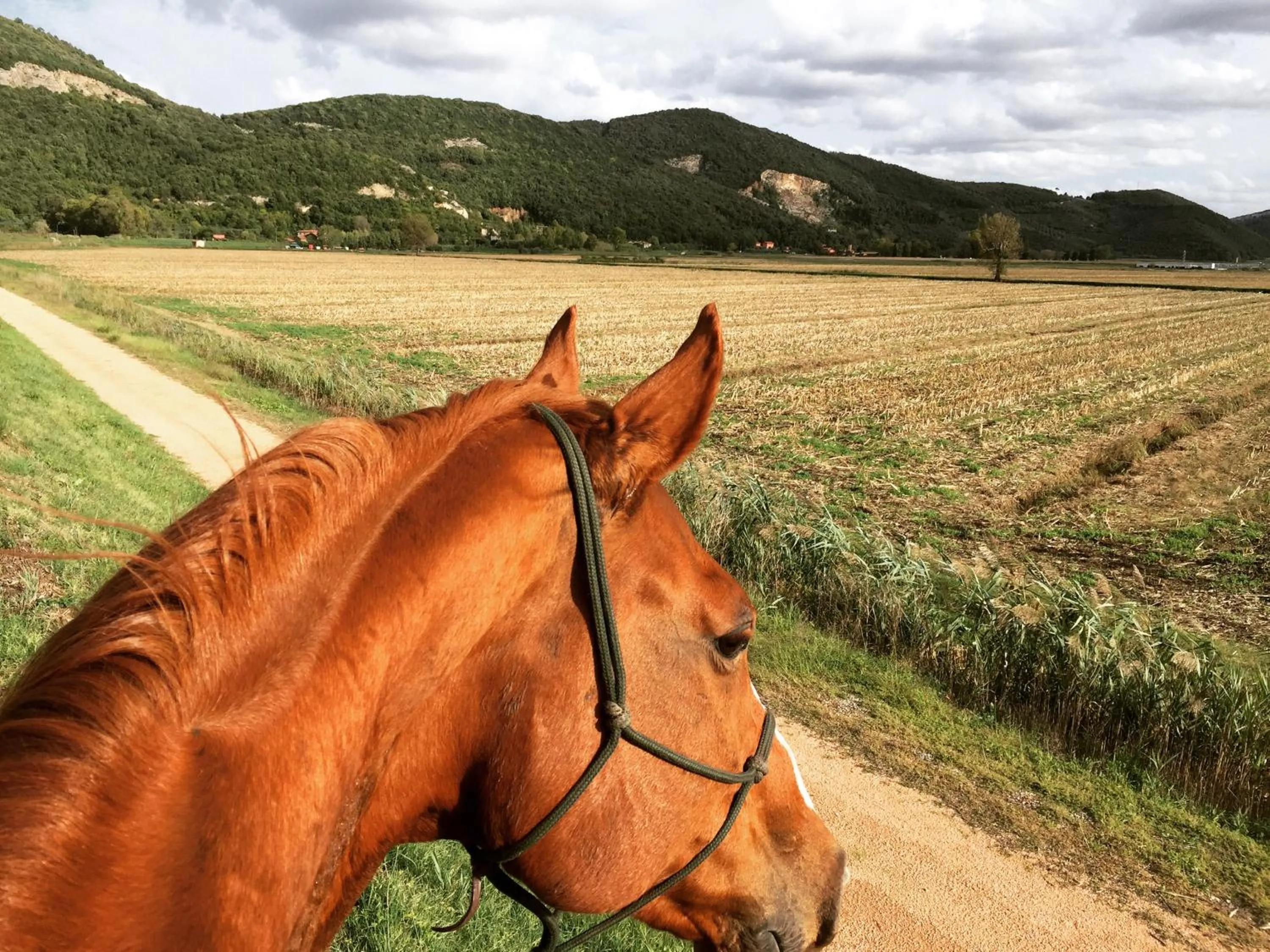 Horse-riding in Il Vicoletto