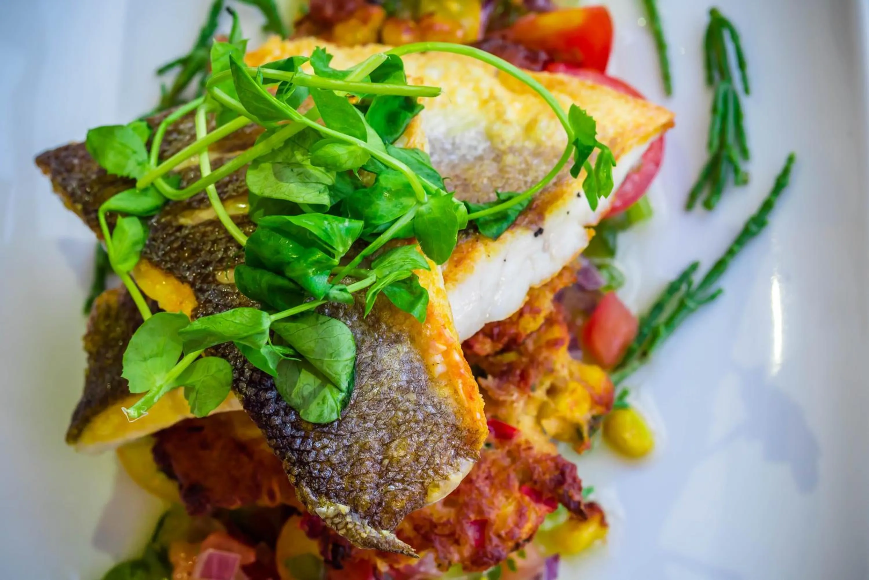 Food close-up in Woodland Grange