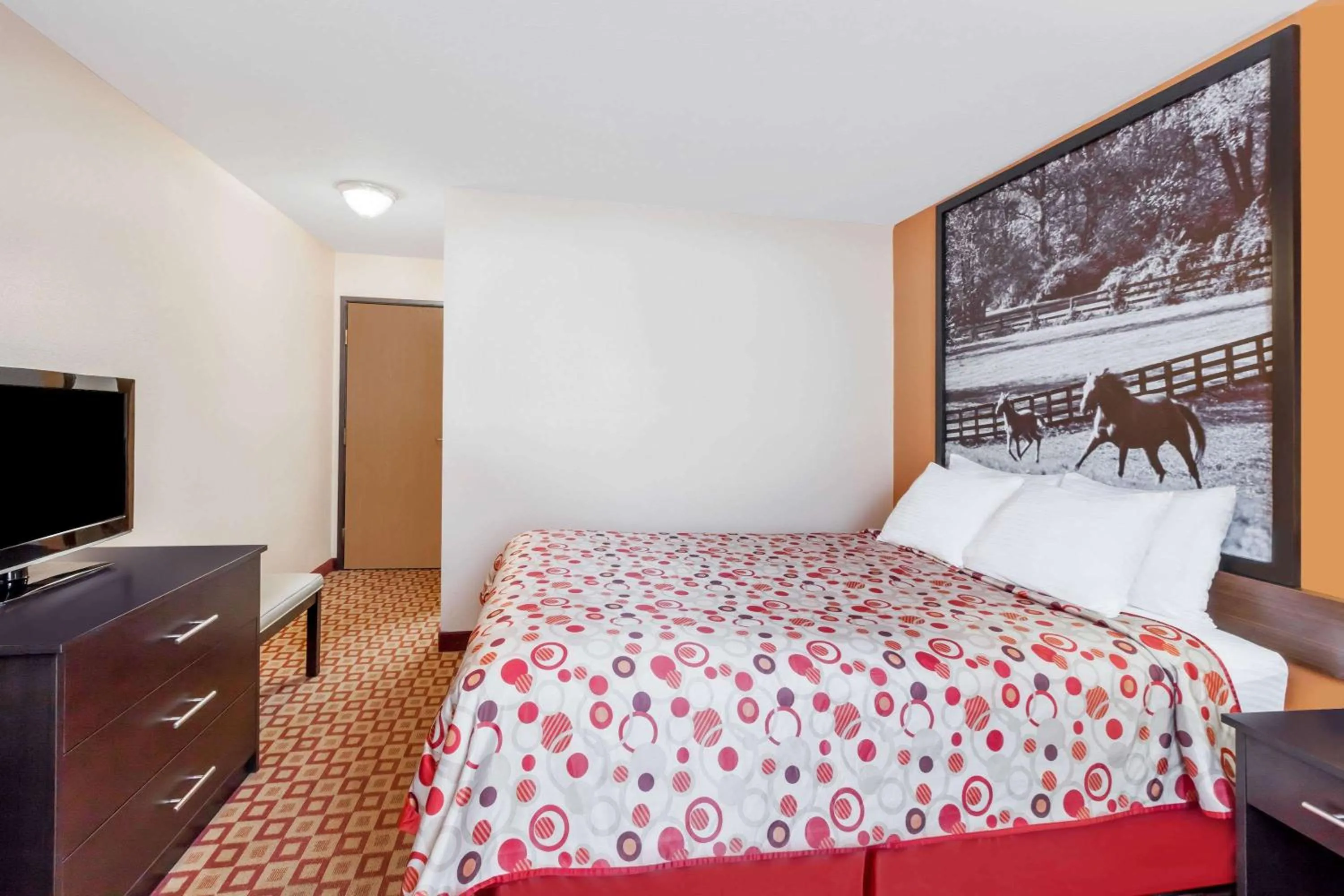 Photo of the whole room, Bed in Super 8 South by Wyndham