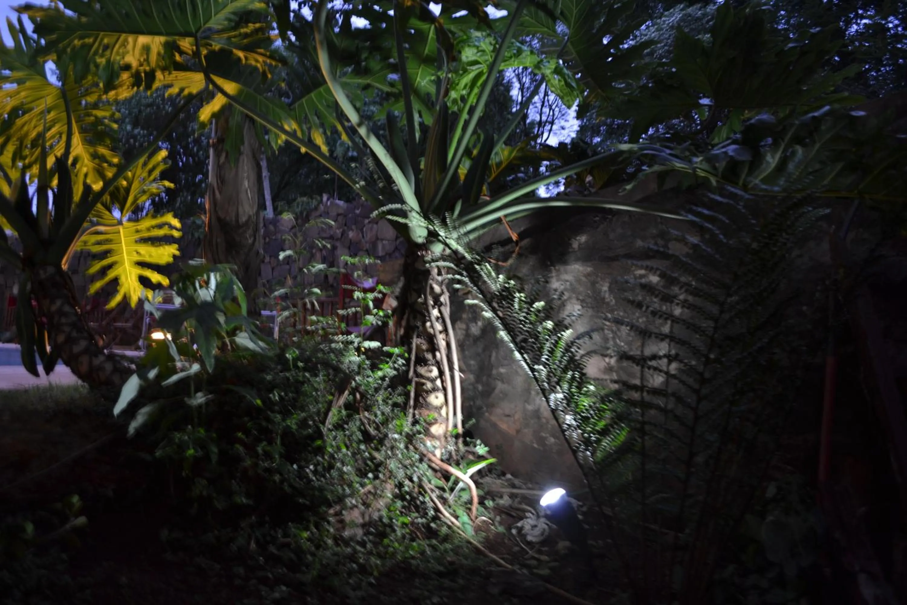 Garden in Passaros Suite Hotel