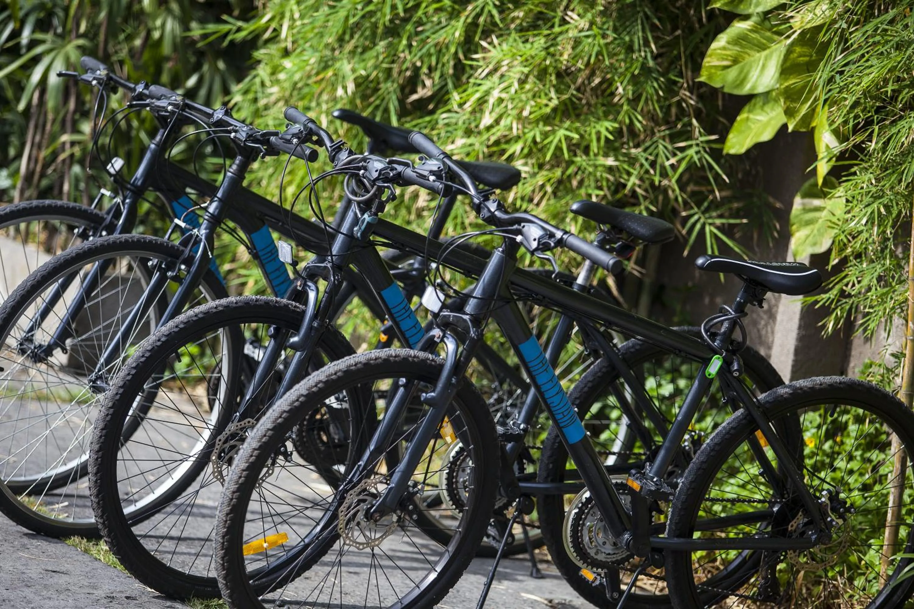 Fitness centre/facilities in The Elysian Boutique Villa Hotel