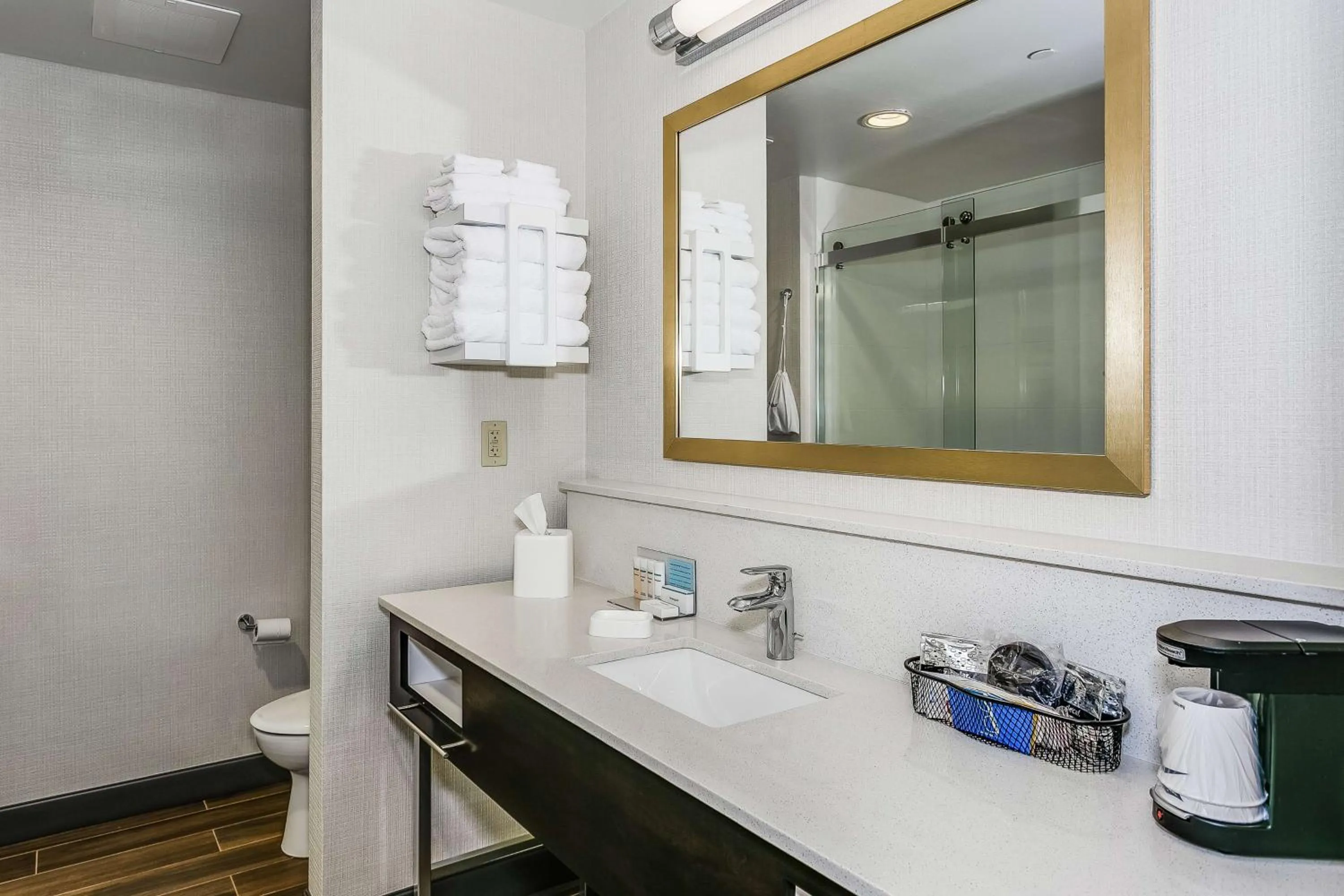 Bathroom in Hampton Inn & Suites Mobile - Downtown Historic District