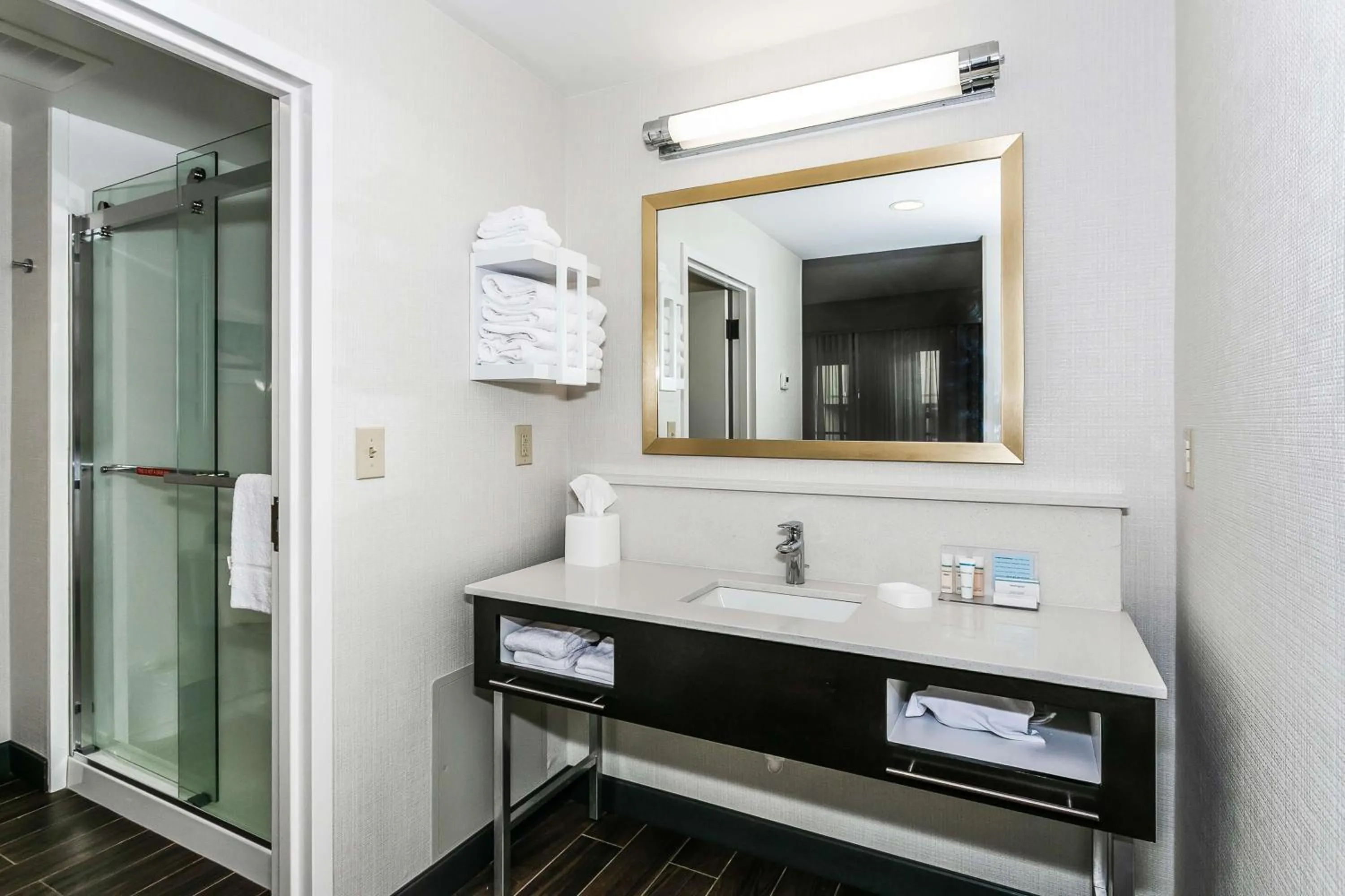 Bathroom in Hampton Inn & Suites Mobile - Downtown Historic District