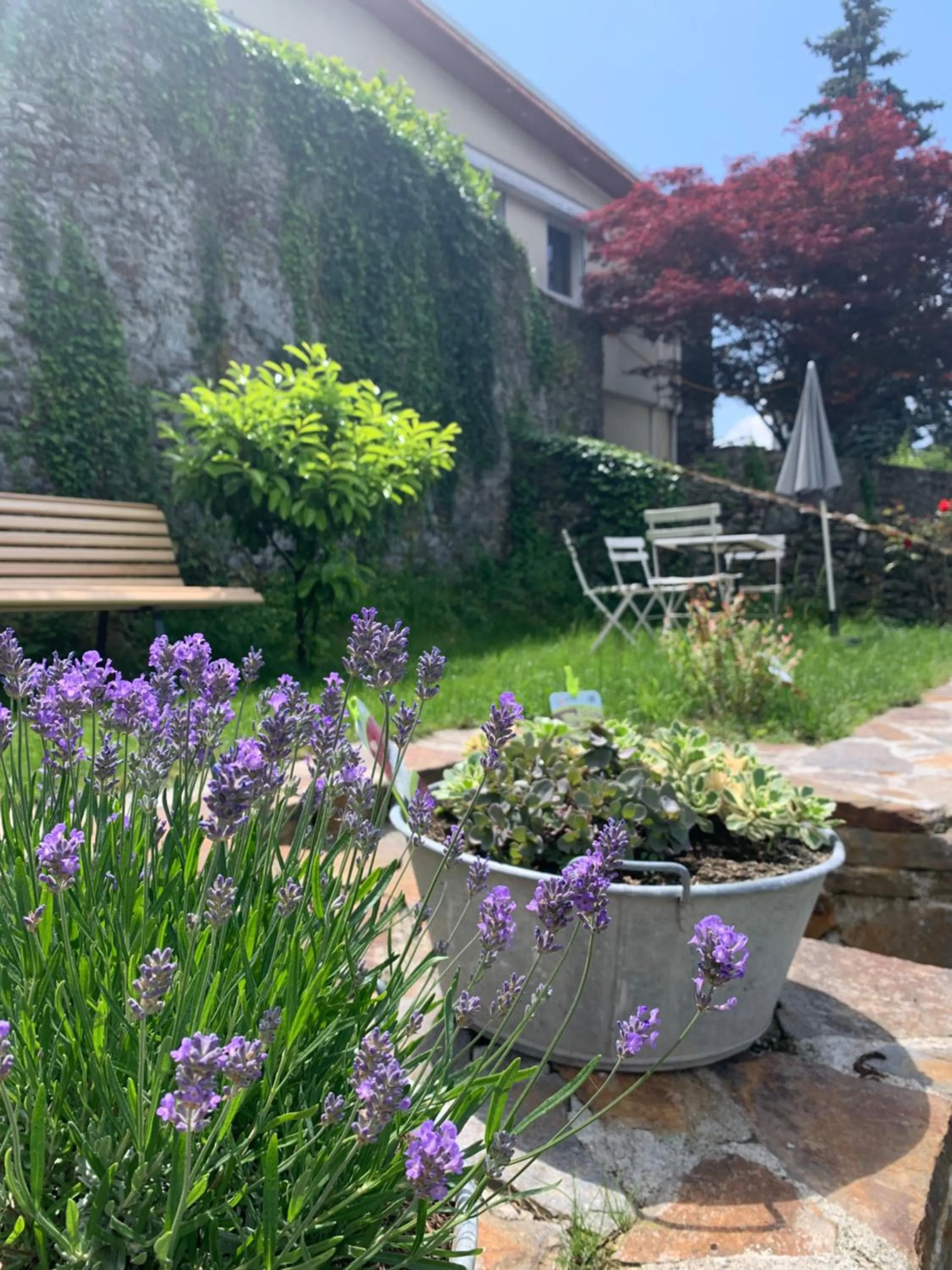 Garden in Au Cheval Blanc - appartements et chambres d'hôtes