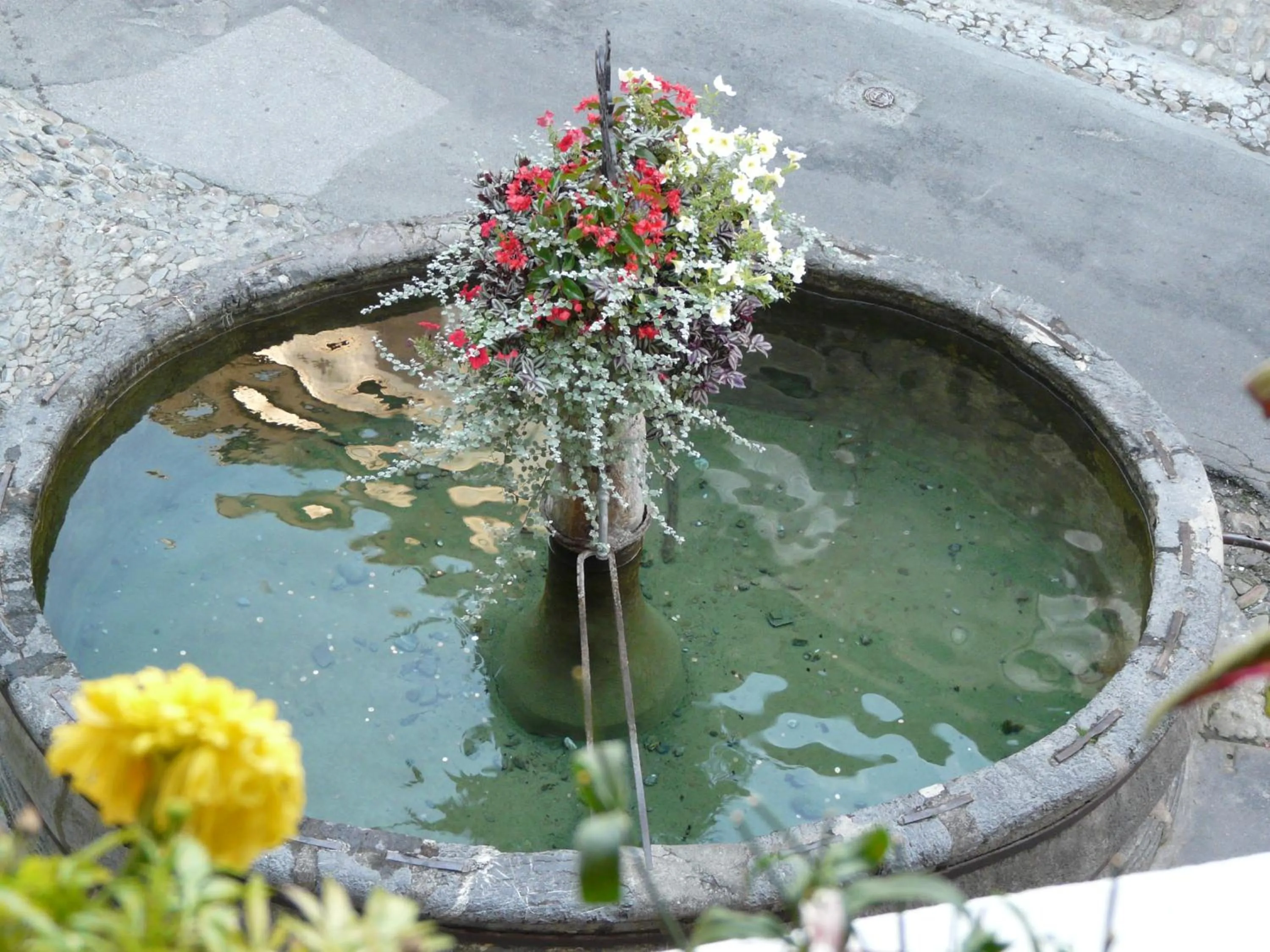 Street view in Au Cheval Blanc - appartements et chambres d'hôtes