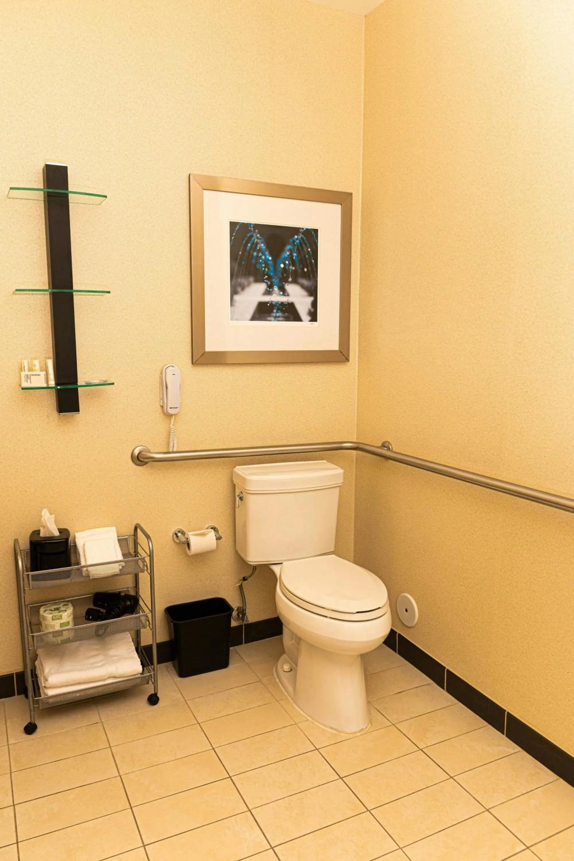 Bathroom in Springhill Suites by Marriott Pueblo Downtown