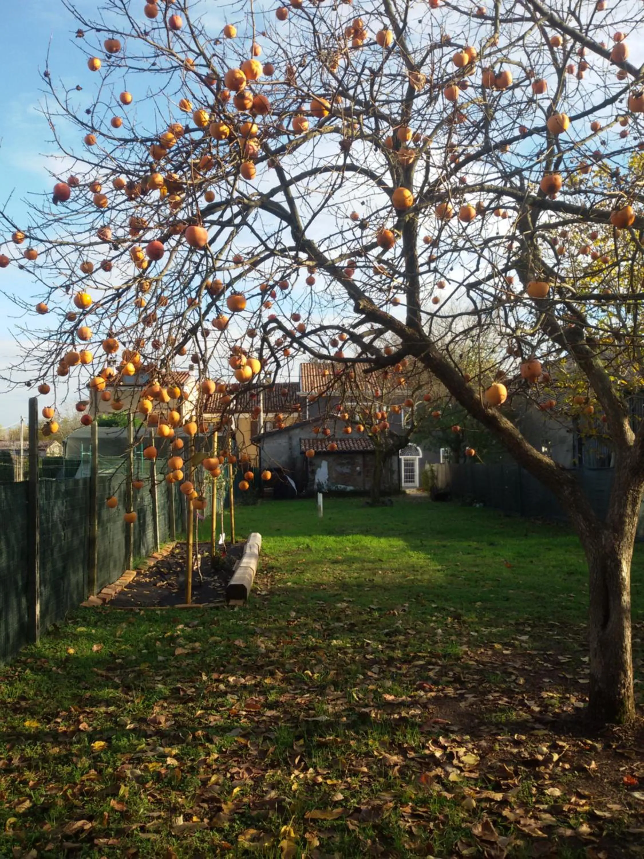 Garden in Zucchero sui Baffi- Food Lovers B&B