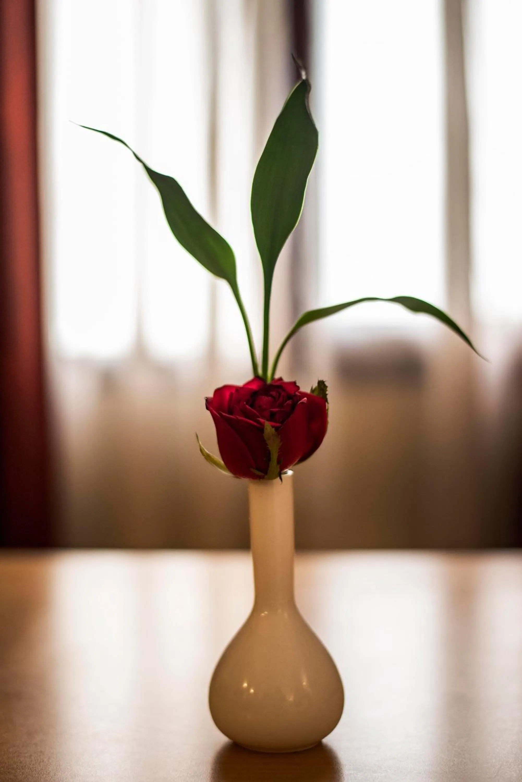 Decorative detail in Hotel Abad Plaza