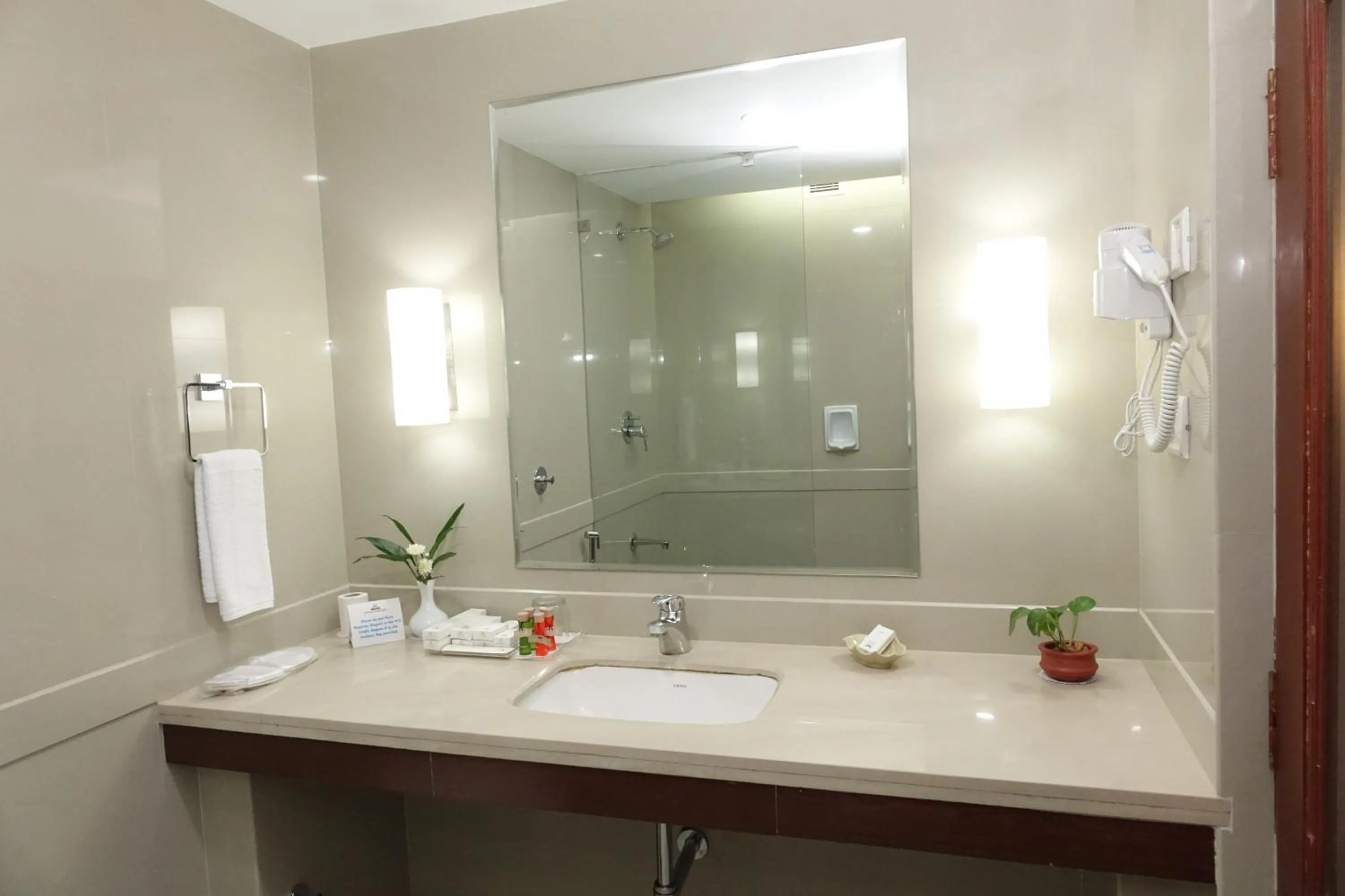 Bathroom in Hotel Abad Plaza