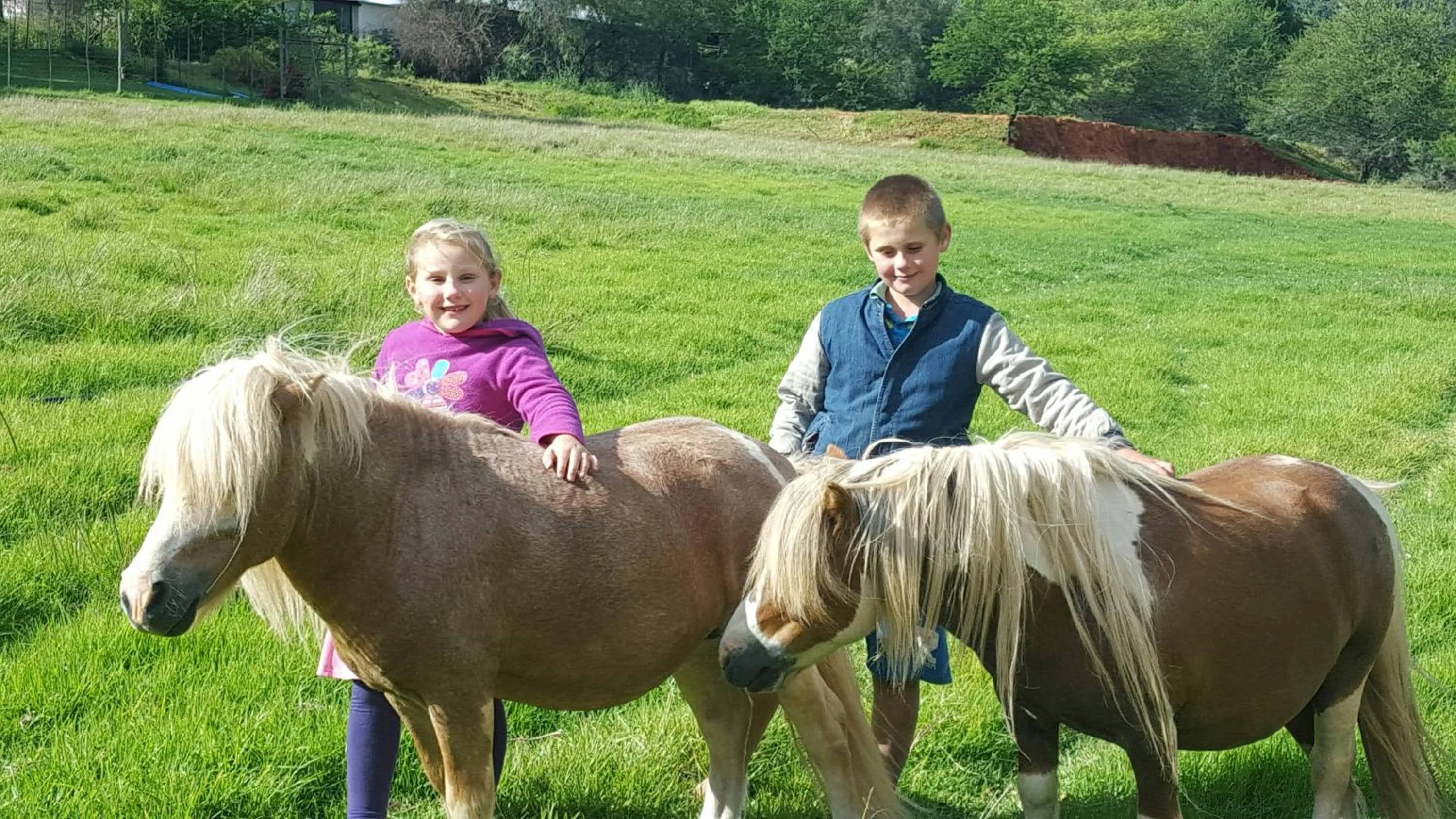 Children play ground in Old Mill Lodge, Seasonal Working Ostrich Farm & Restaurant, Oudtshoorn