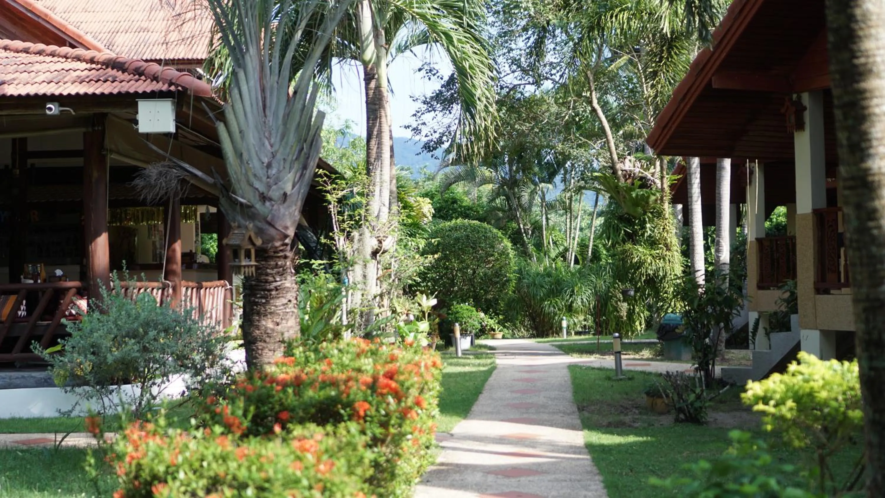 Natural landscape in Morning Star Resort