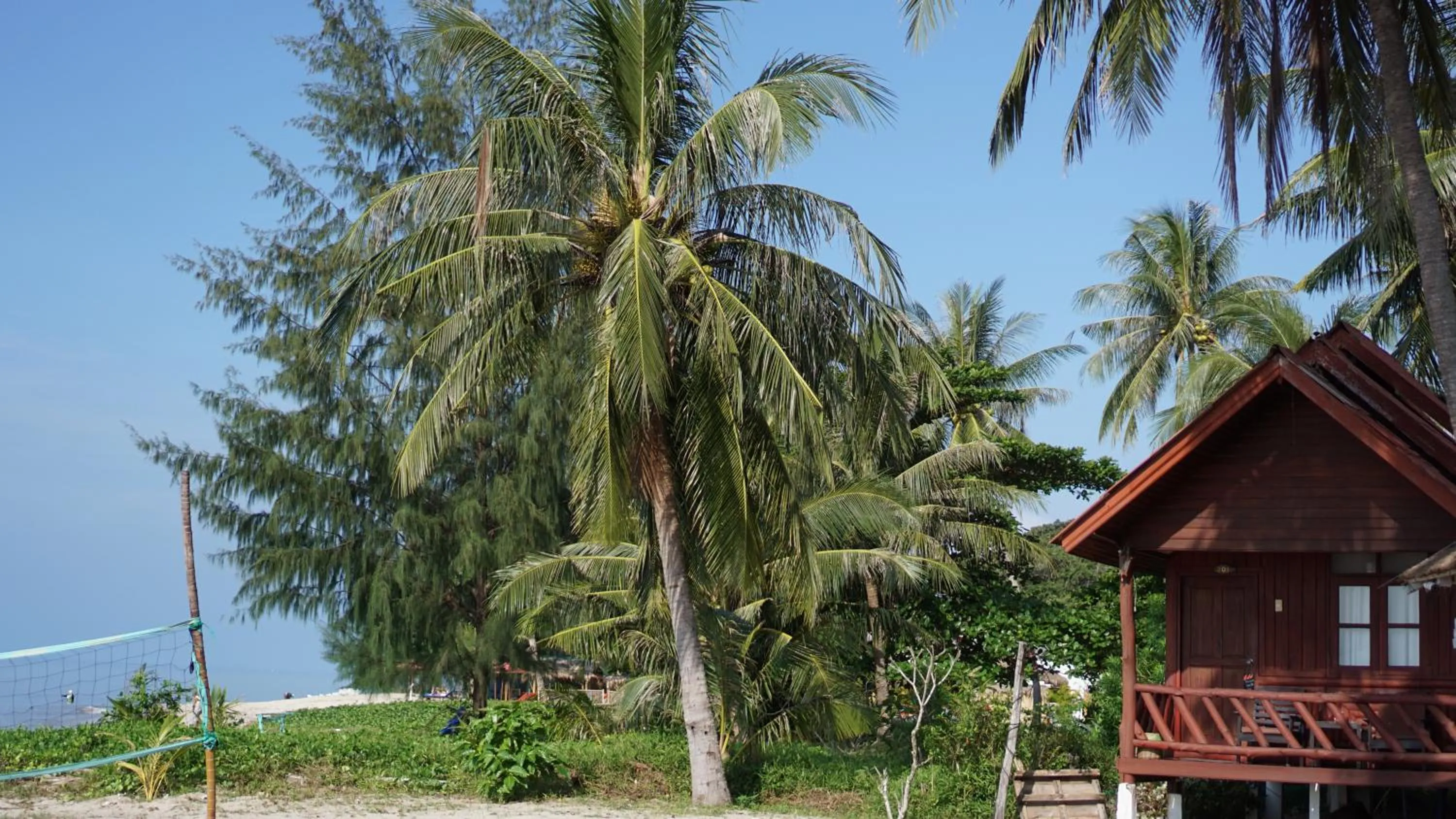 Photo of the whole room in Morning Star Resort