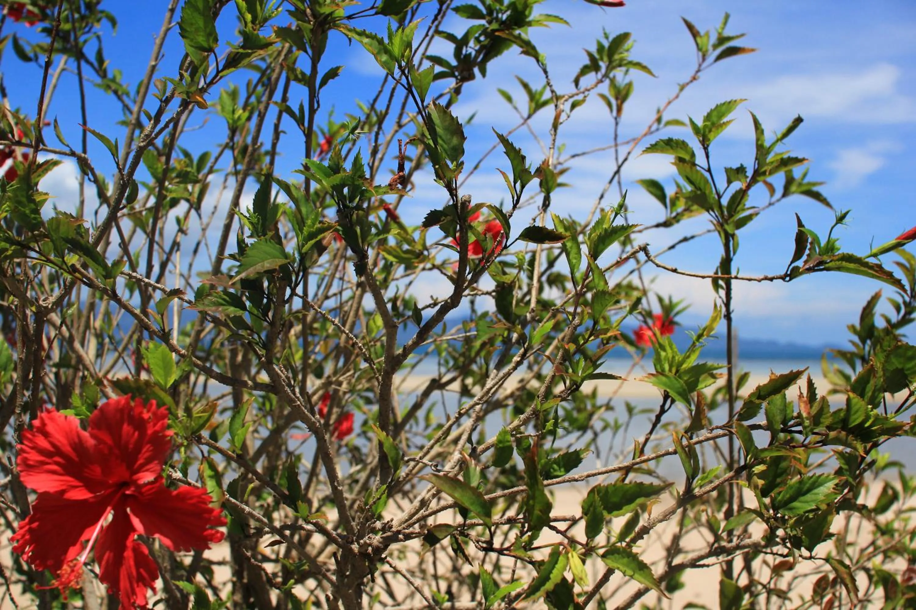 Day in Morning Star Resort