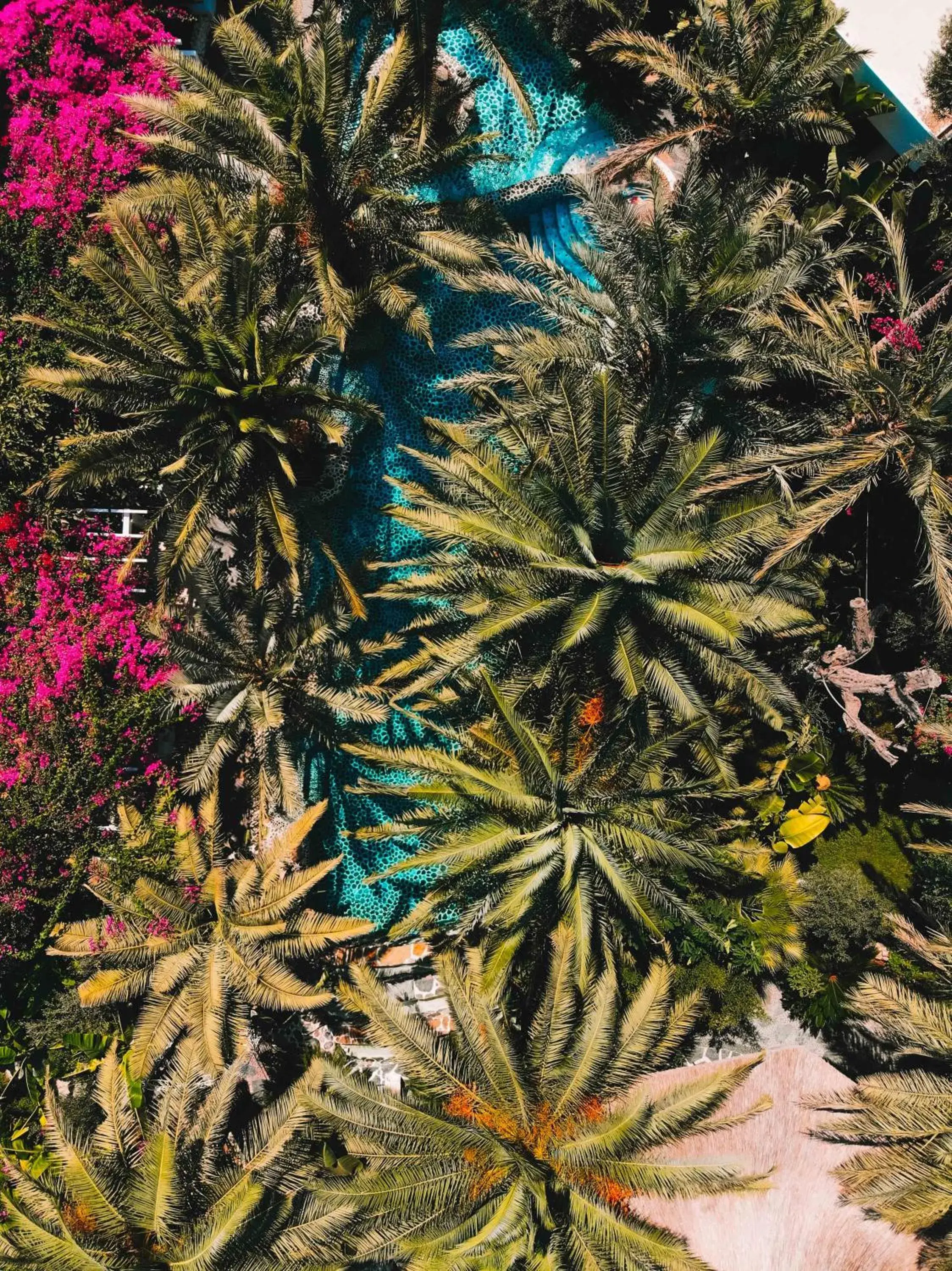 Flamingo Hotel & Spa - Pet Friendly Flamingo Hotel & Spa - Pet Friendly