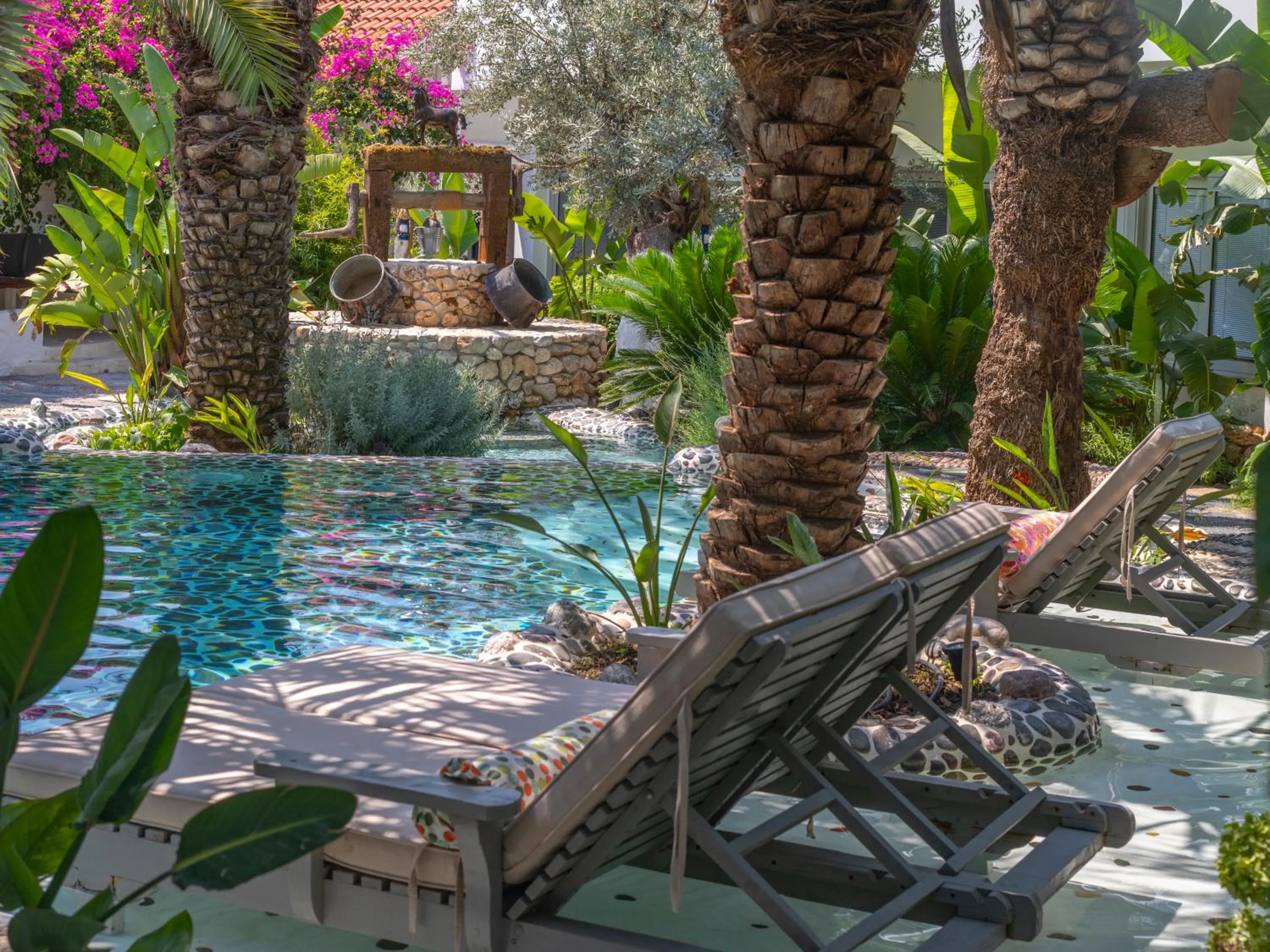 Swimming pool in Flamingo Hotel & Spa - Pet Friendly