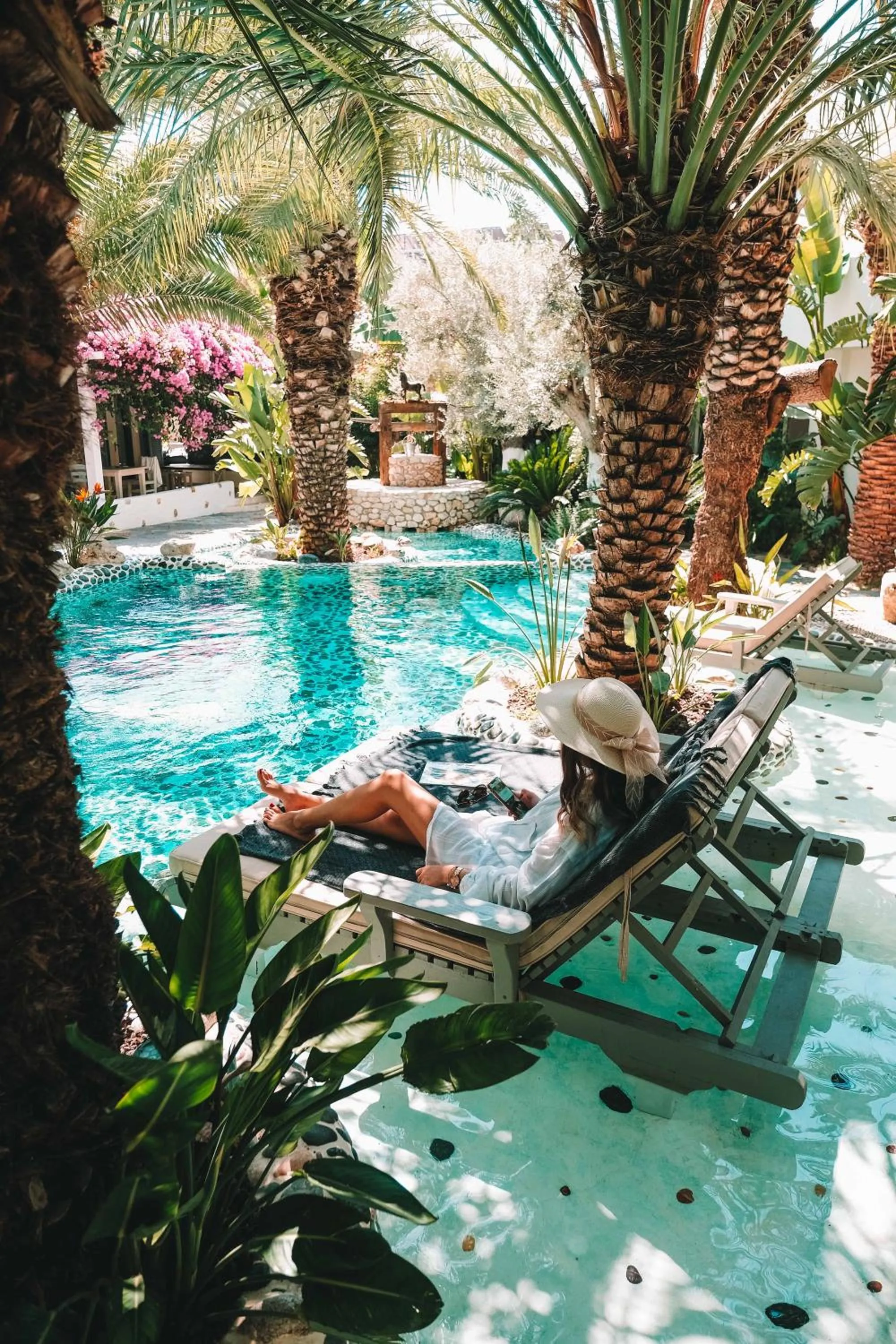 Pool view in Flamingo Hotel & Spa - Pet Friendly