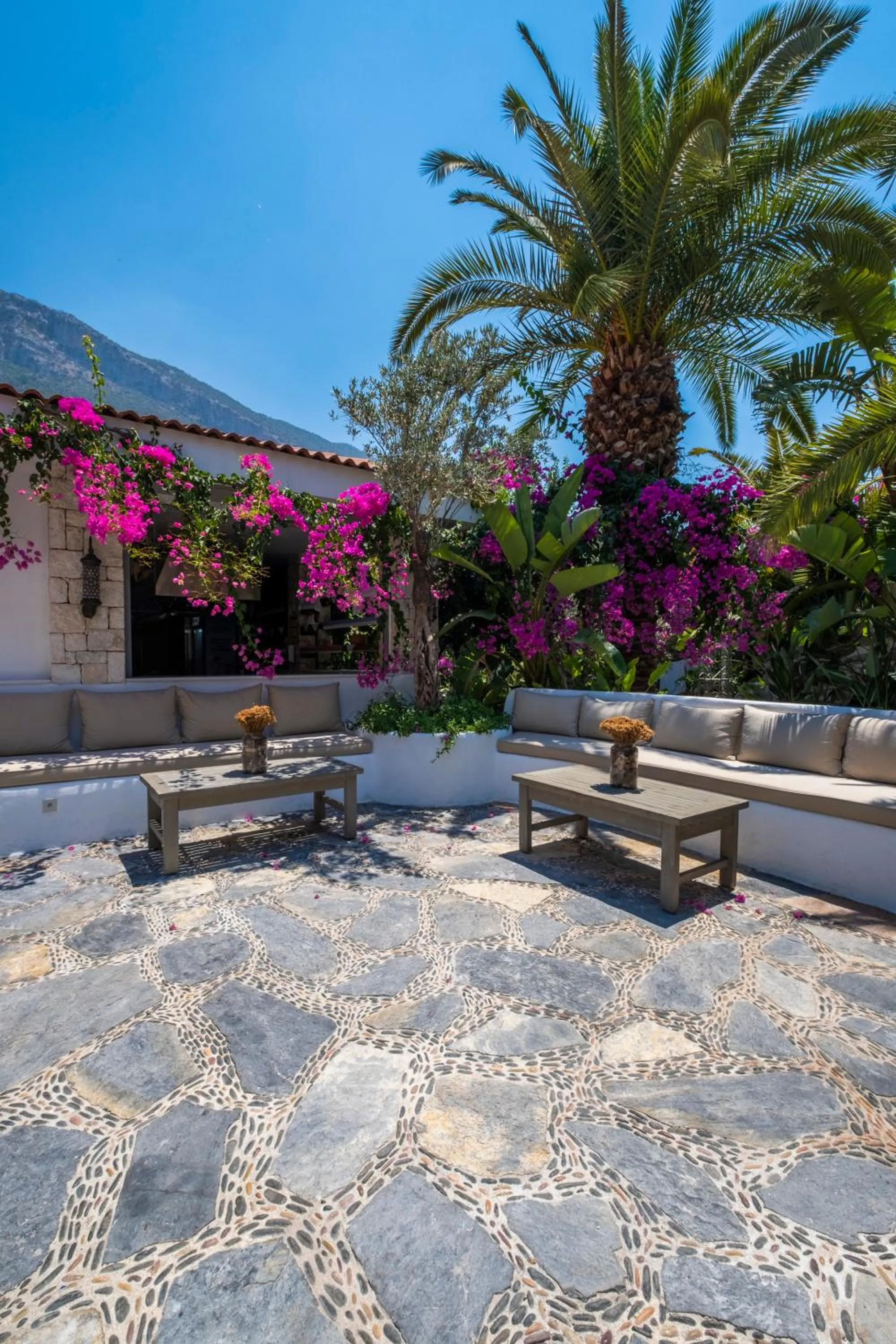 Garden in Flamingo Hotel & Spa - Pet Friendly