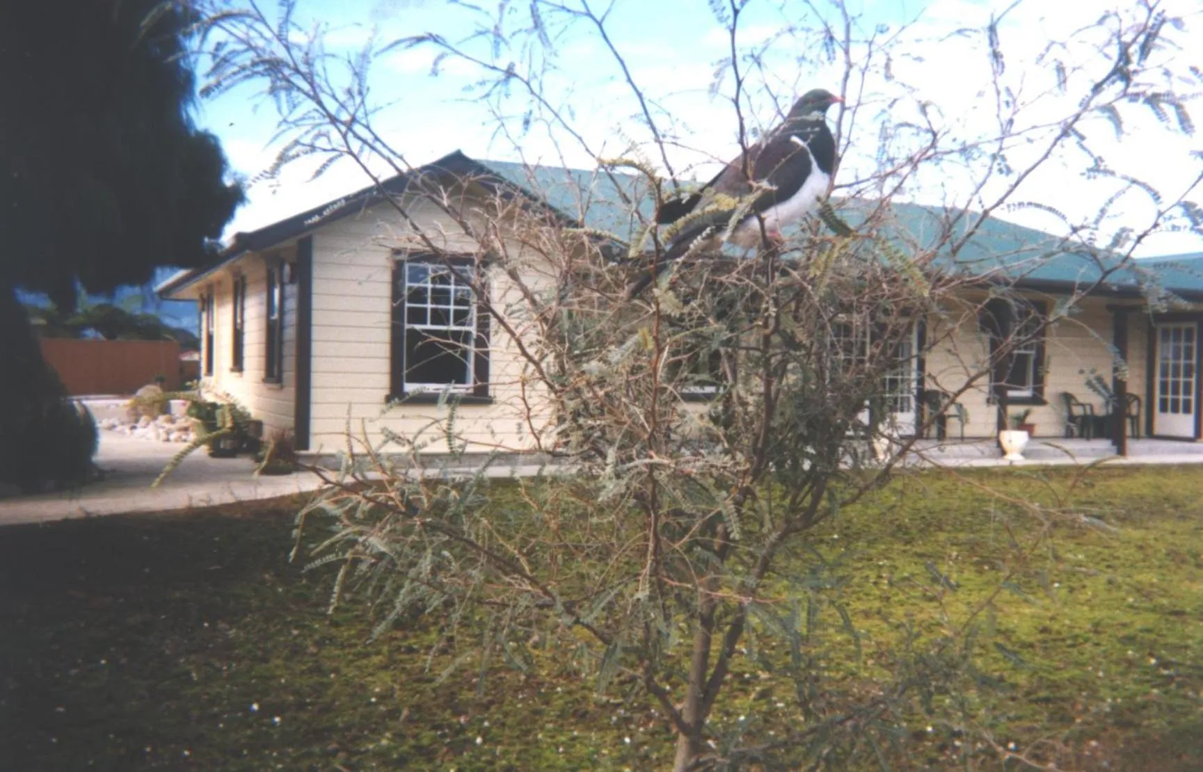 Facade/entrance in Karamea Village Hotel