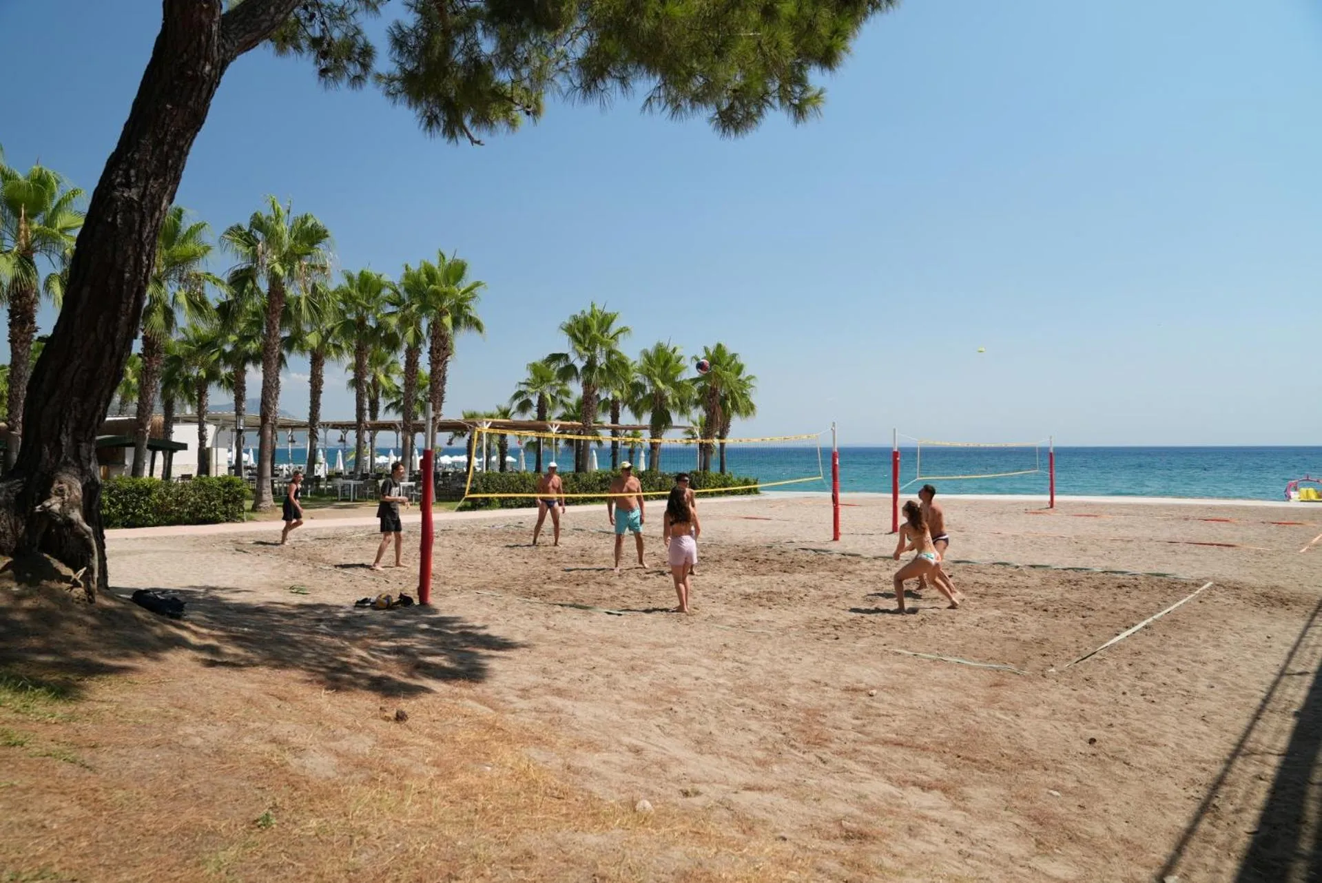 Activities in Crystal Flora Pearl Collection - Ultimate All Inclusive