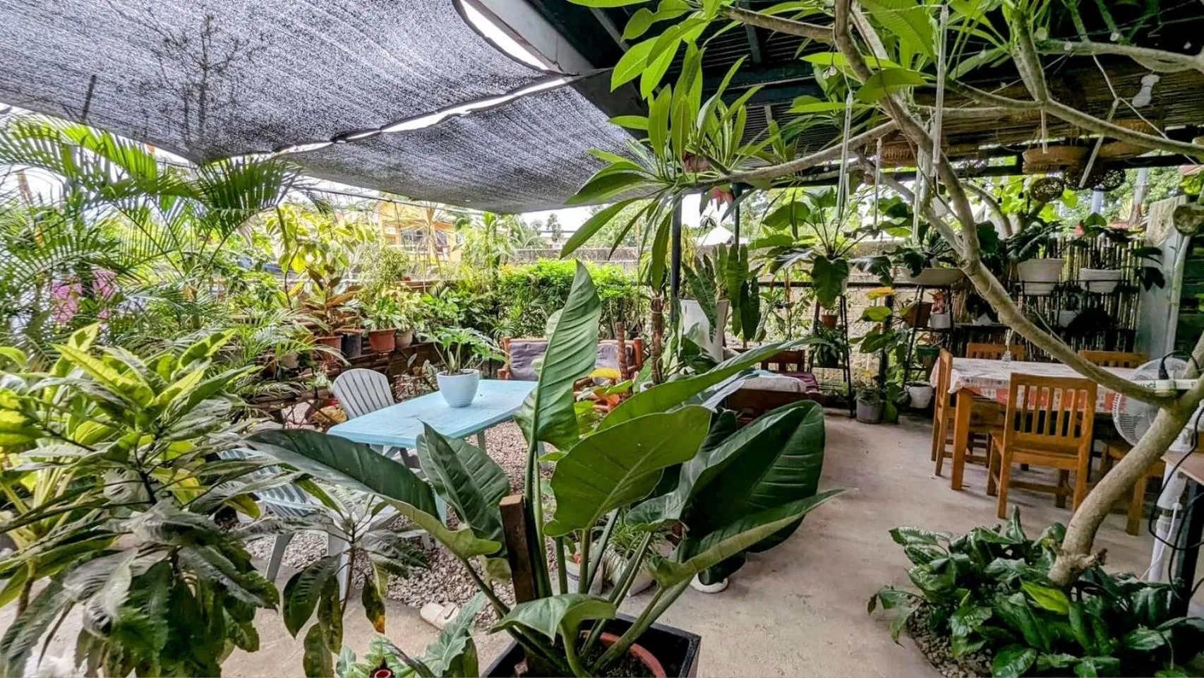 UNK'S HOUSE HOMESTAY