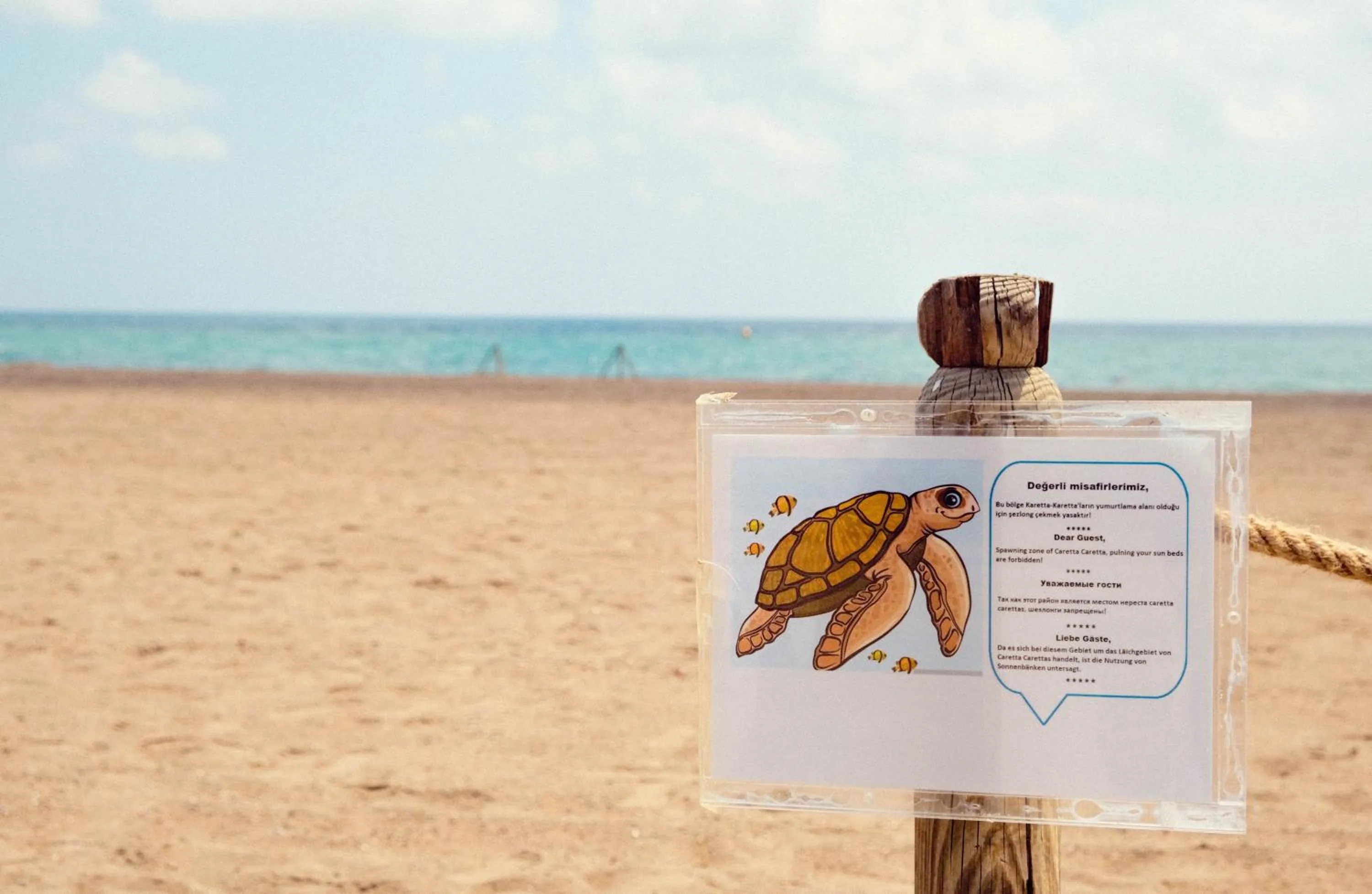 Day in Crystal Paraiso Aqua Collection - Ultimate All Inclusive