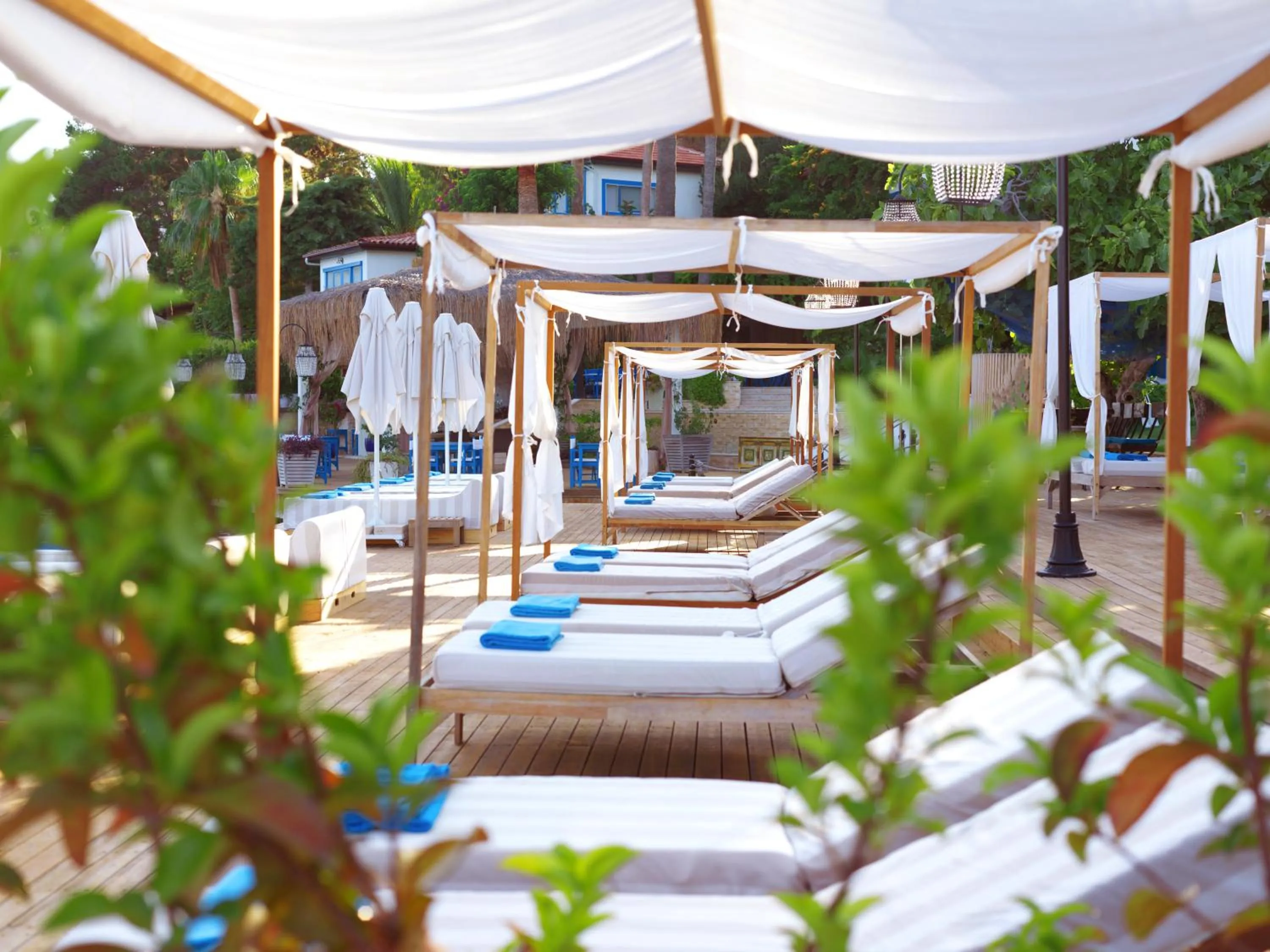 Sabrinas Haus - Adult Only +14