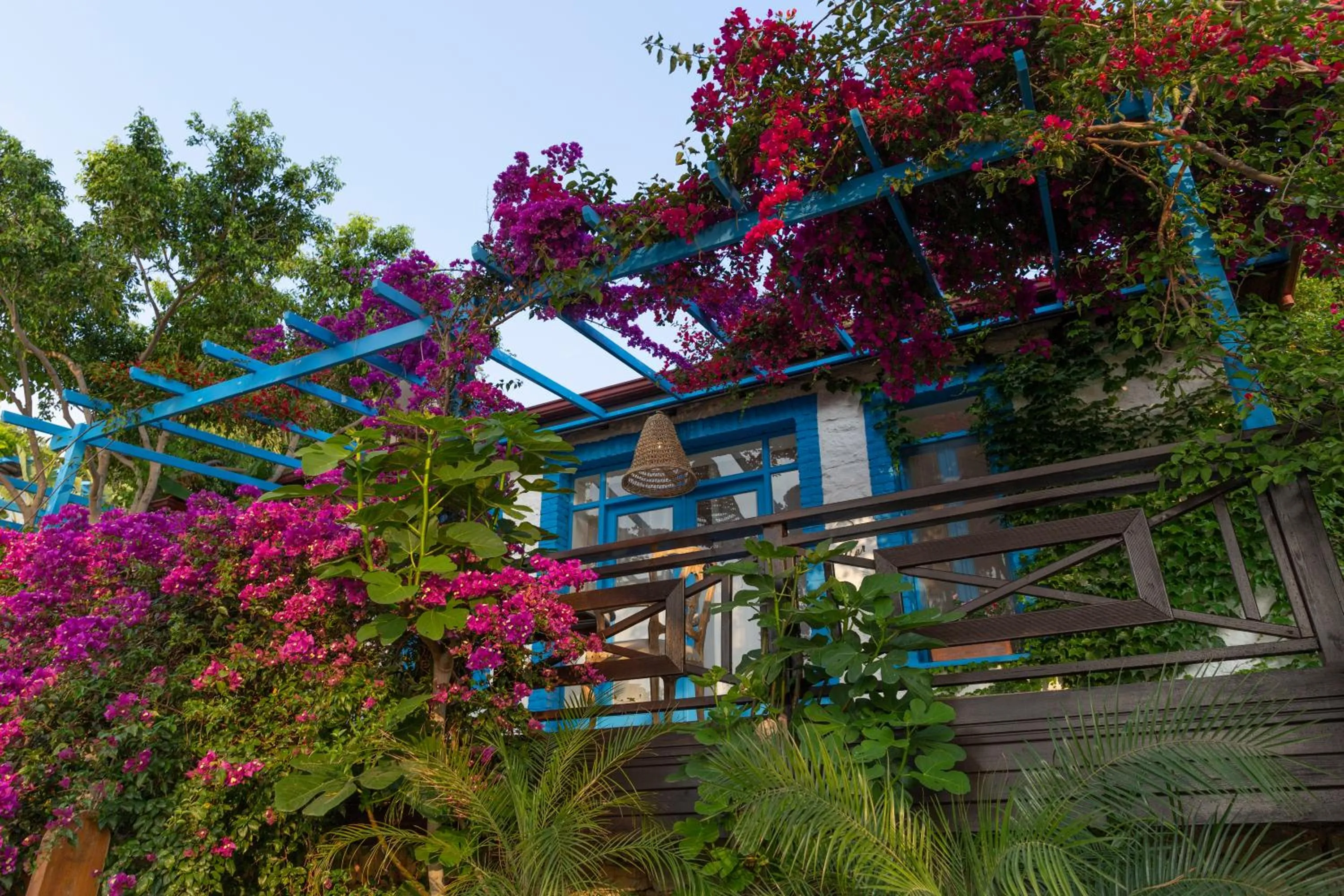 Sabrinas Haus - Adult Only +14