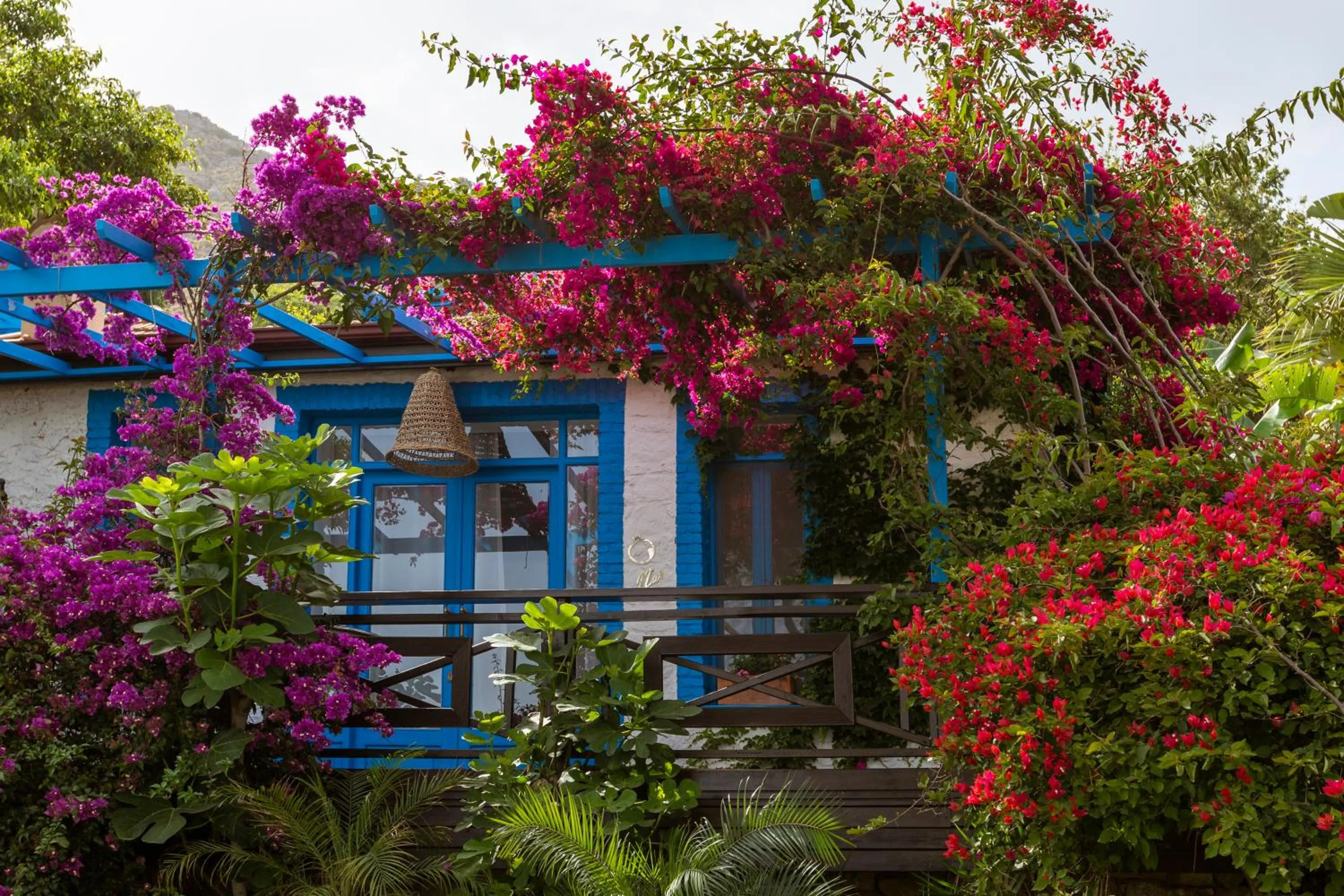 Sabrinas Haus - Adult Only +14