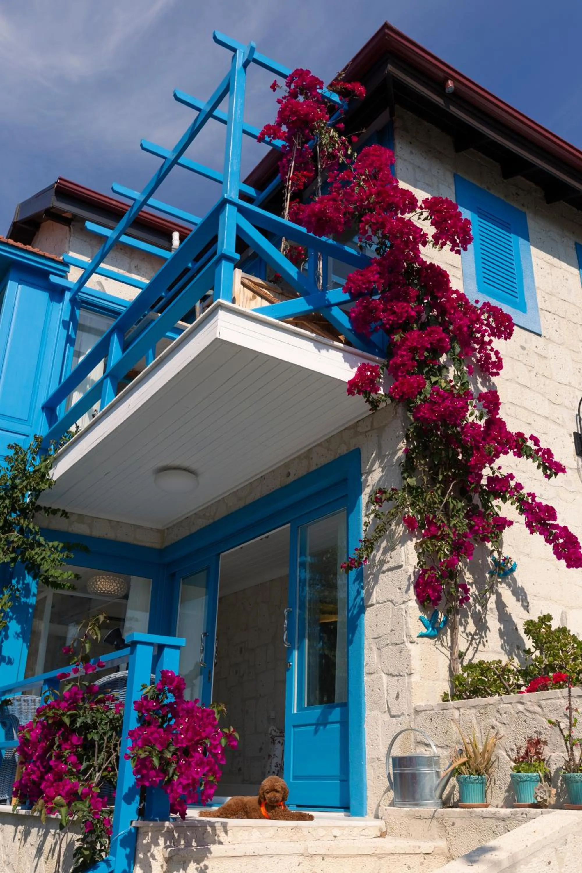 Sabrinas Haus - Adult Only +14