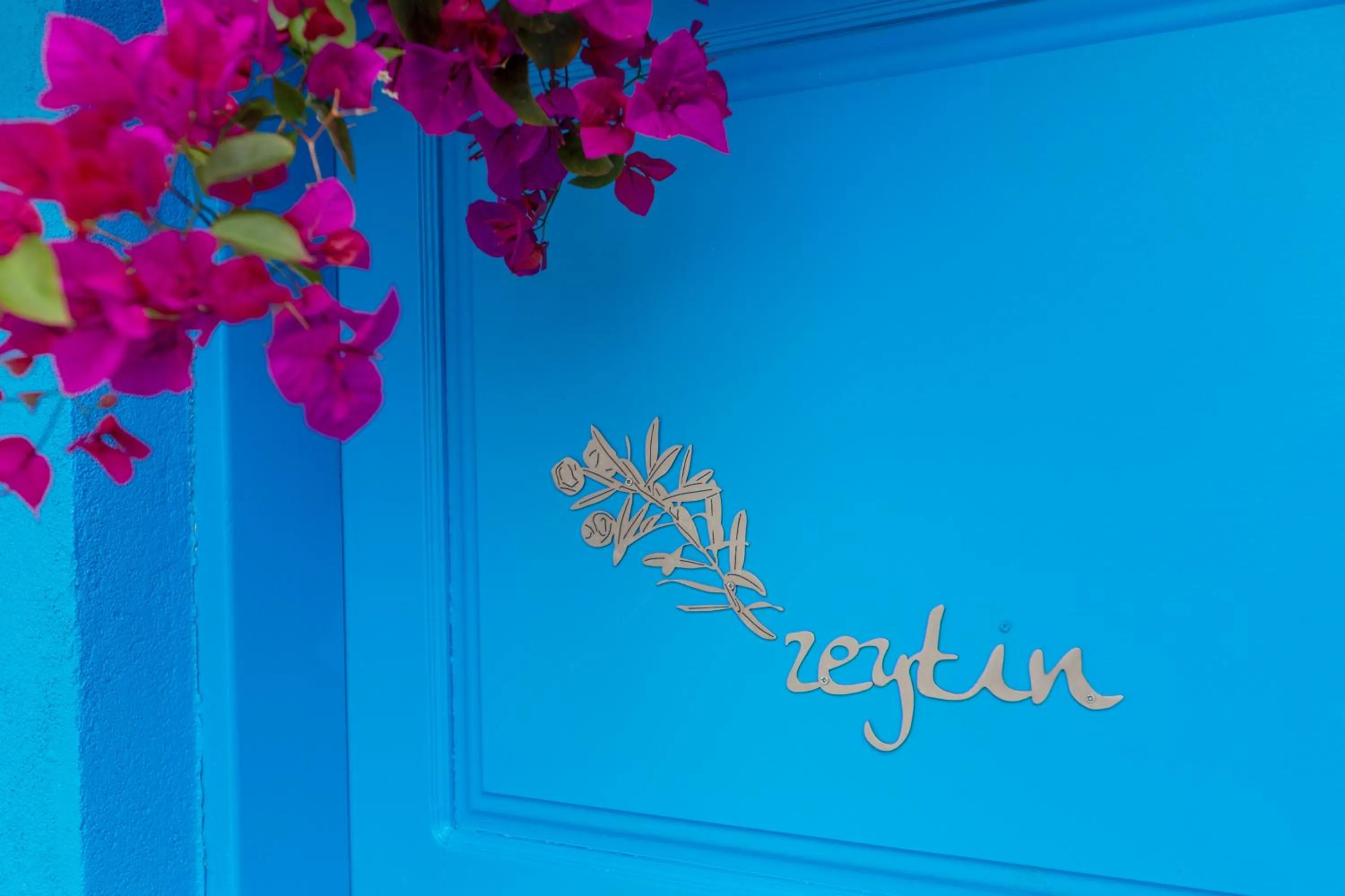 Sabrinas Haus - Adult Only +14