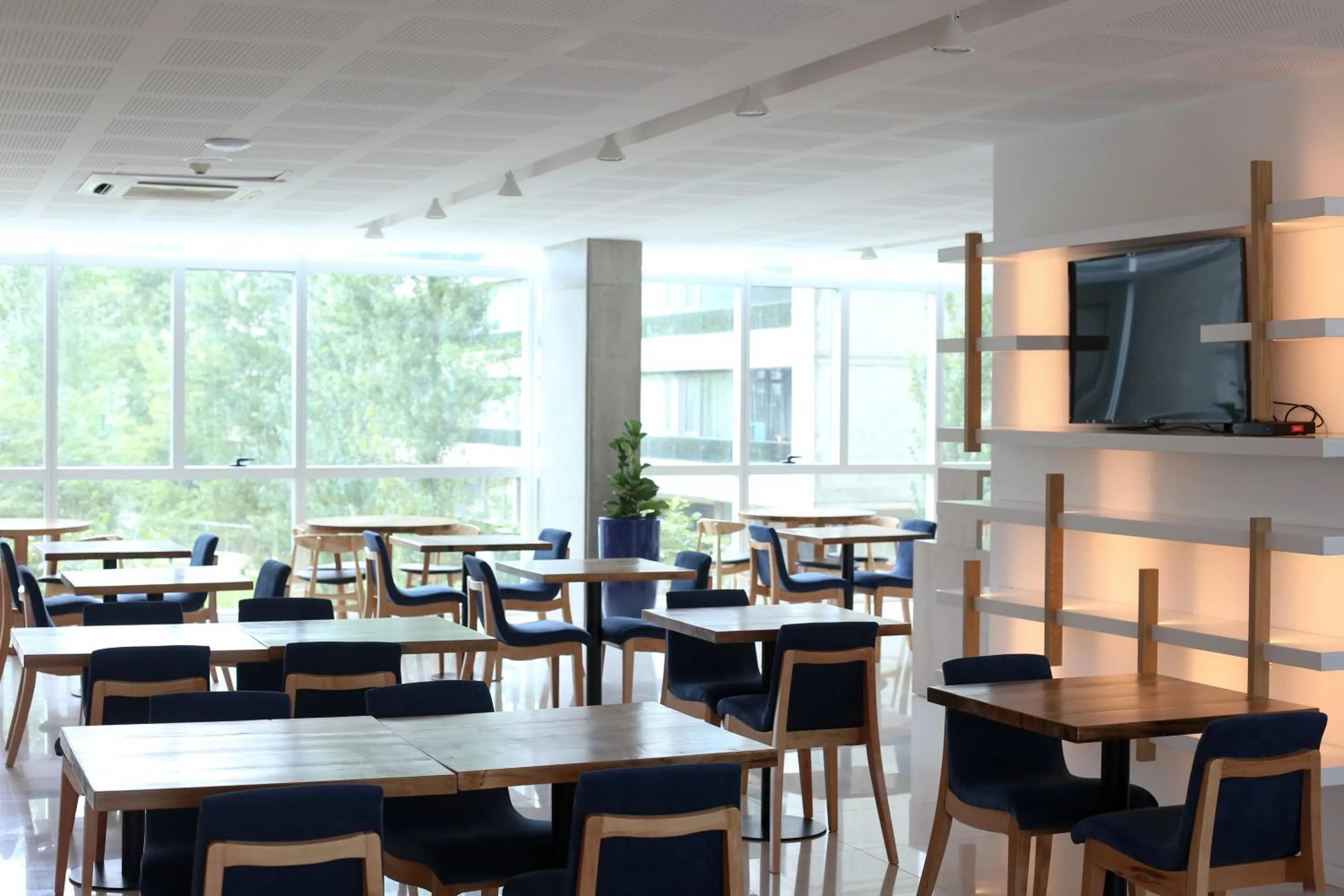 Lounge or bar in Dazzler by Wyndham Rosario