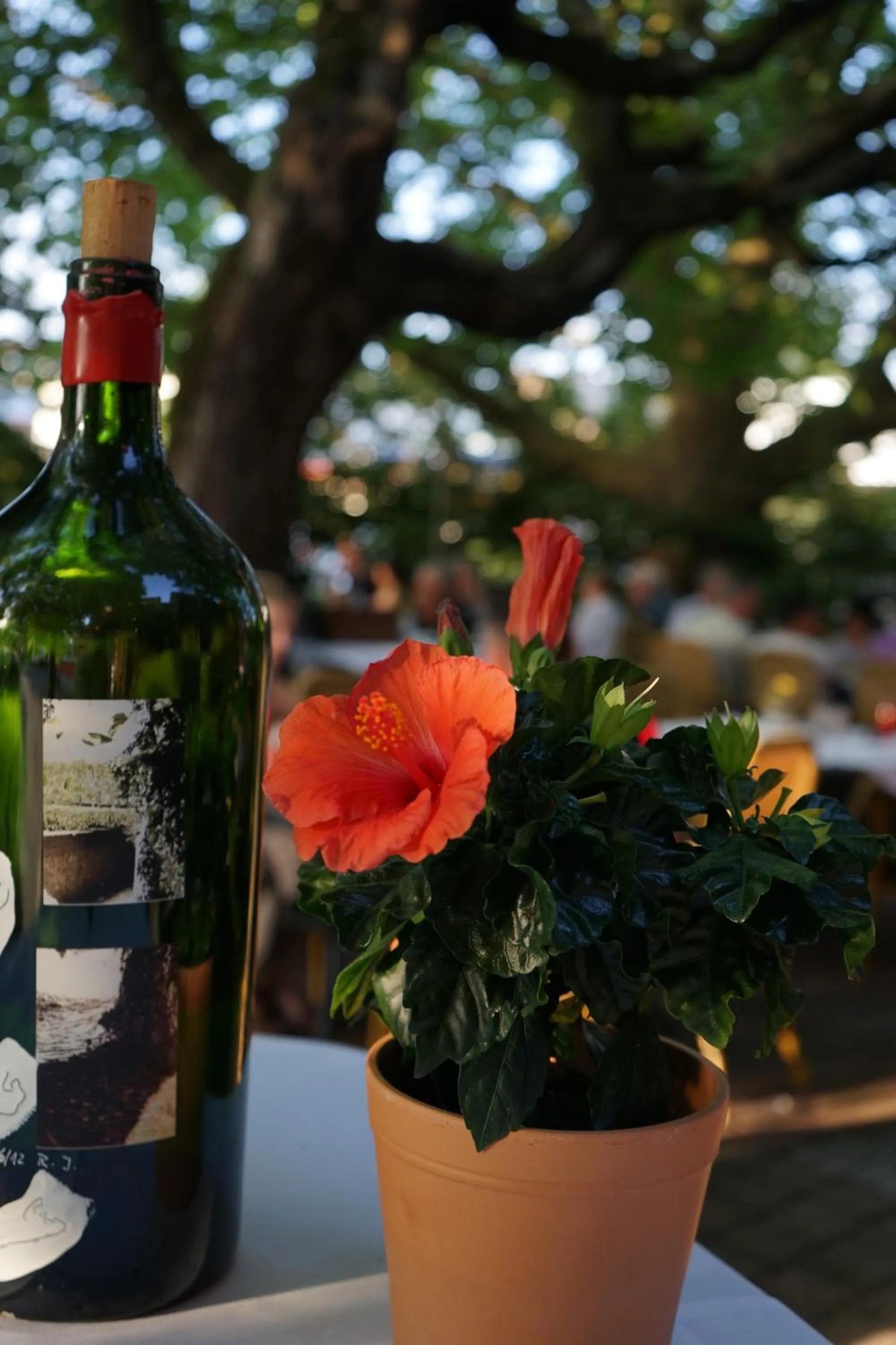 Alcoholic drinks in Ott's Hotel Weinwirtschaft & Biergarten Weil am Rhein/Basel