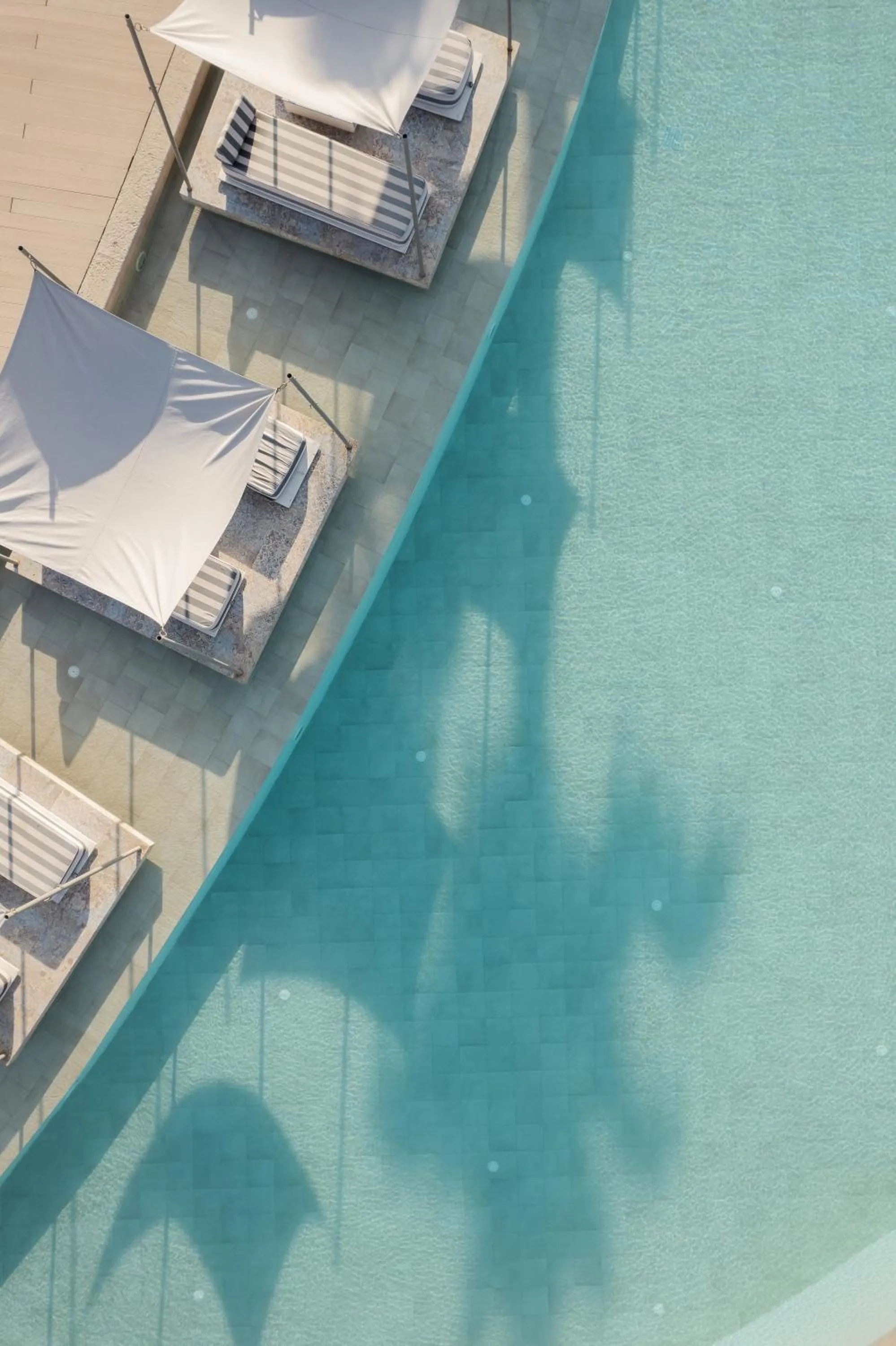 Blue Carpet Luxury Suites