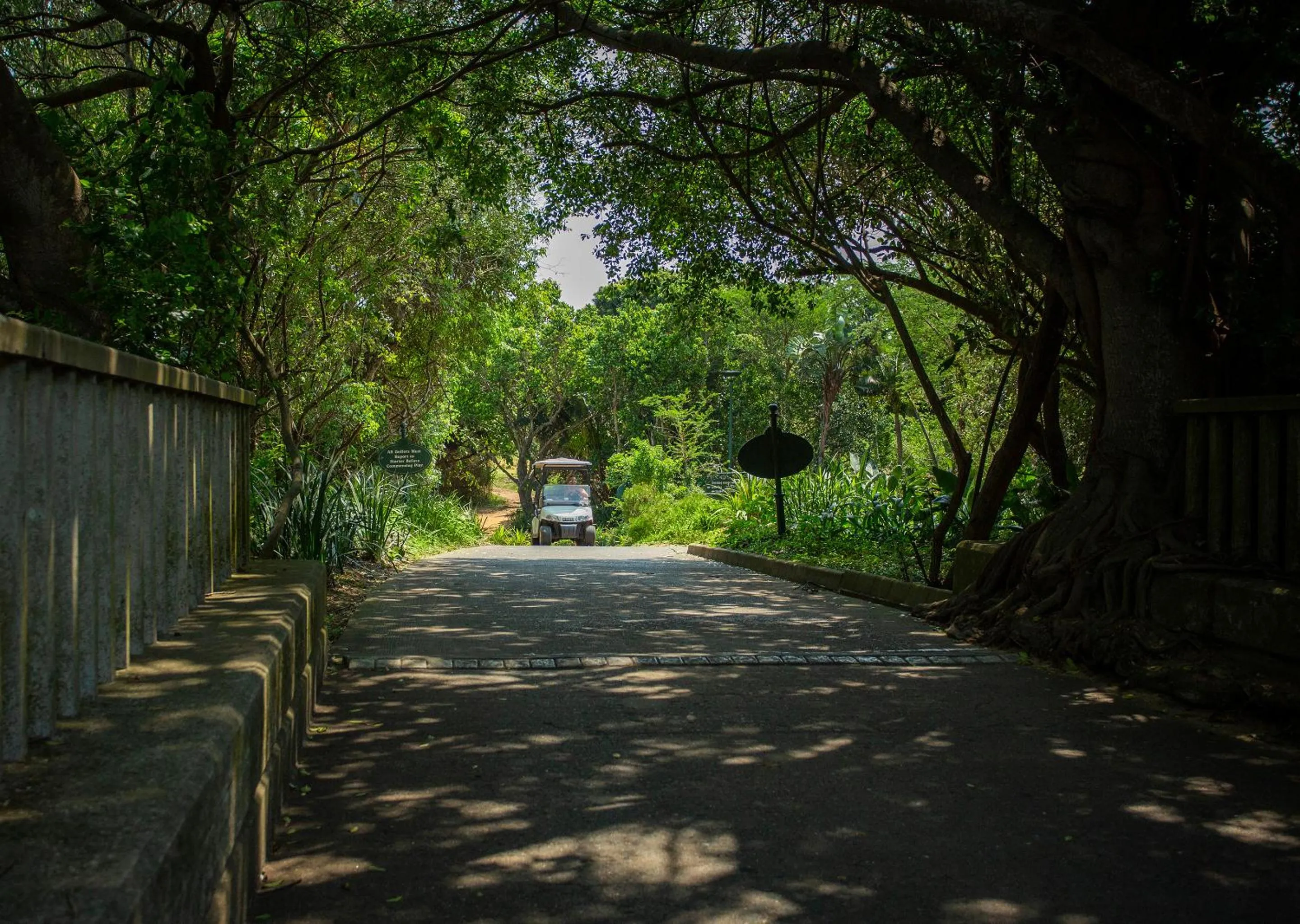 View (from property/room) in Zimbali Lodge by Dream Resorts