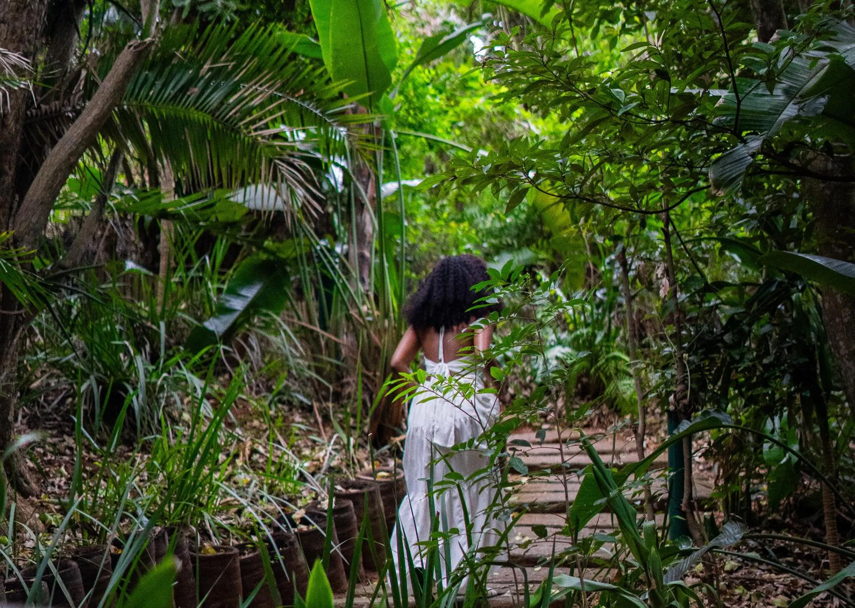 Spring in Zimbali Lodge by Dream Resorts