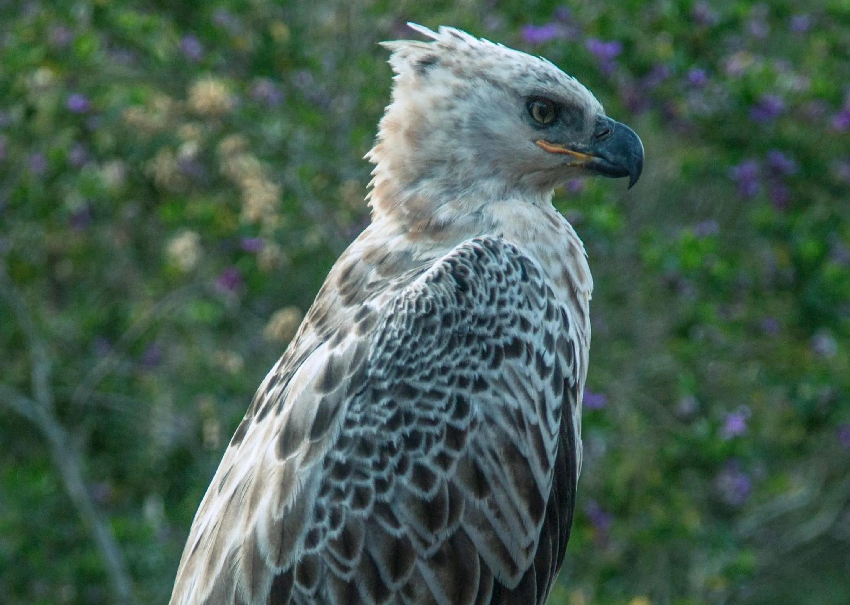 Day in Zimbali Lodge by Dream Resorts