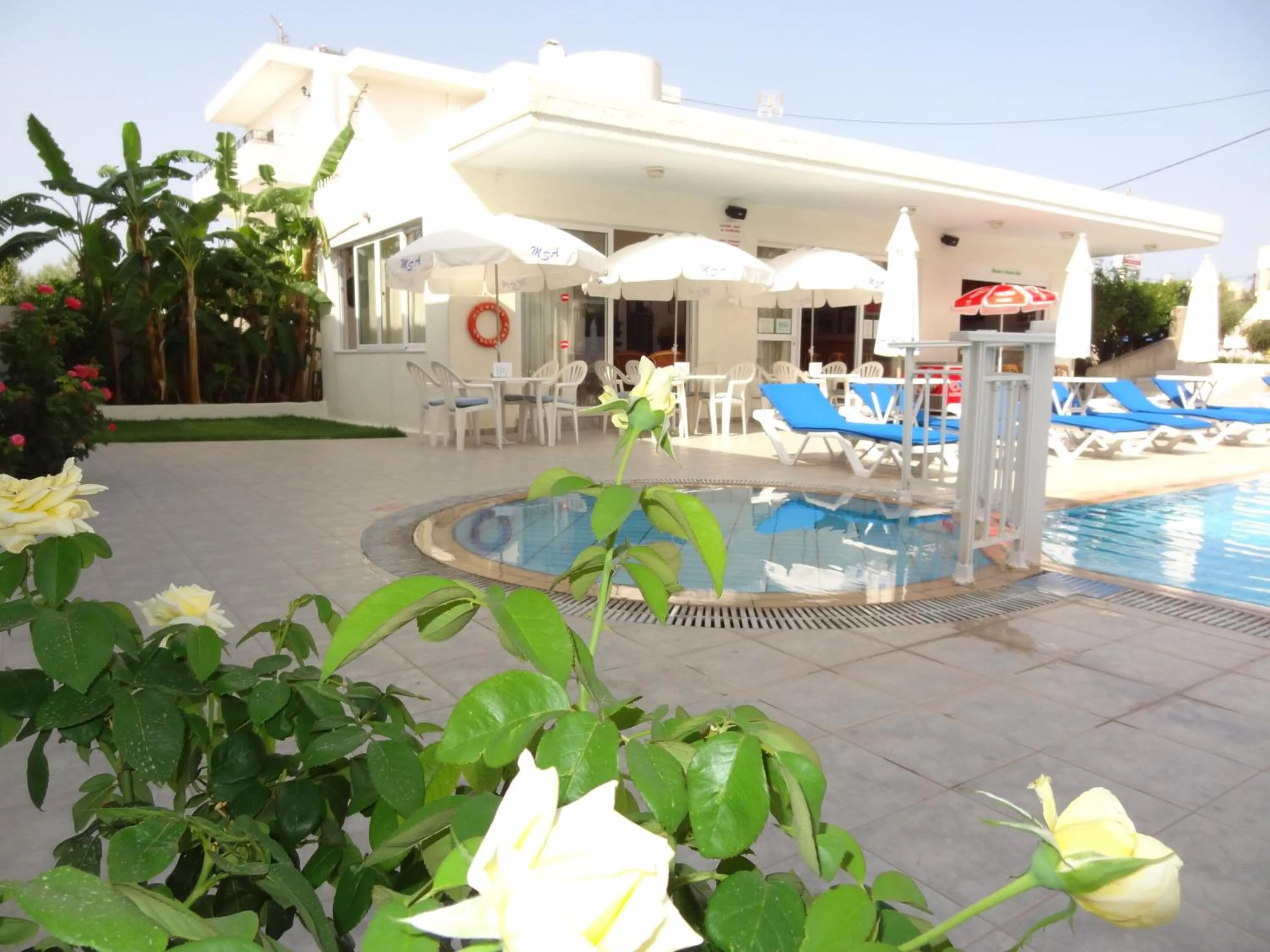 Garden in Michalis Studios & Apartments