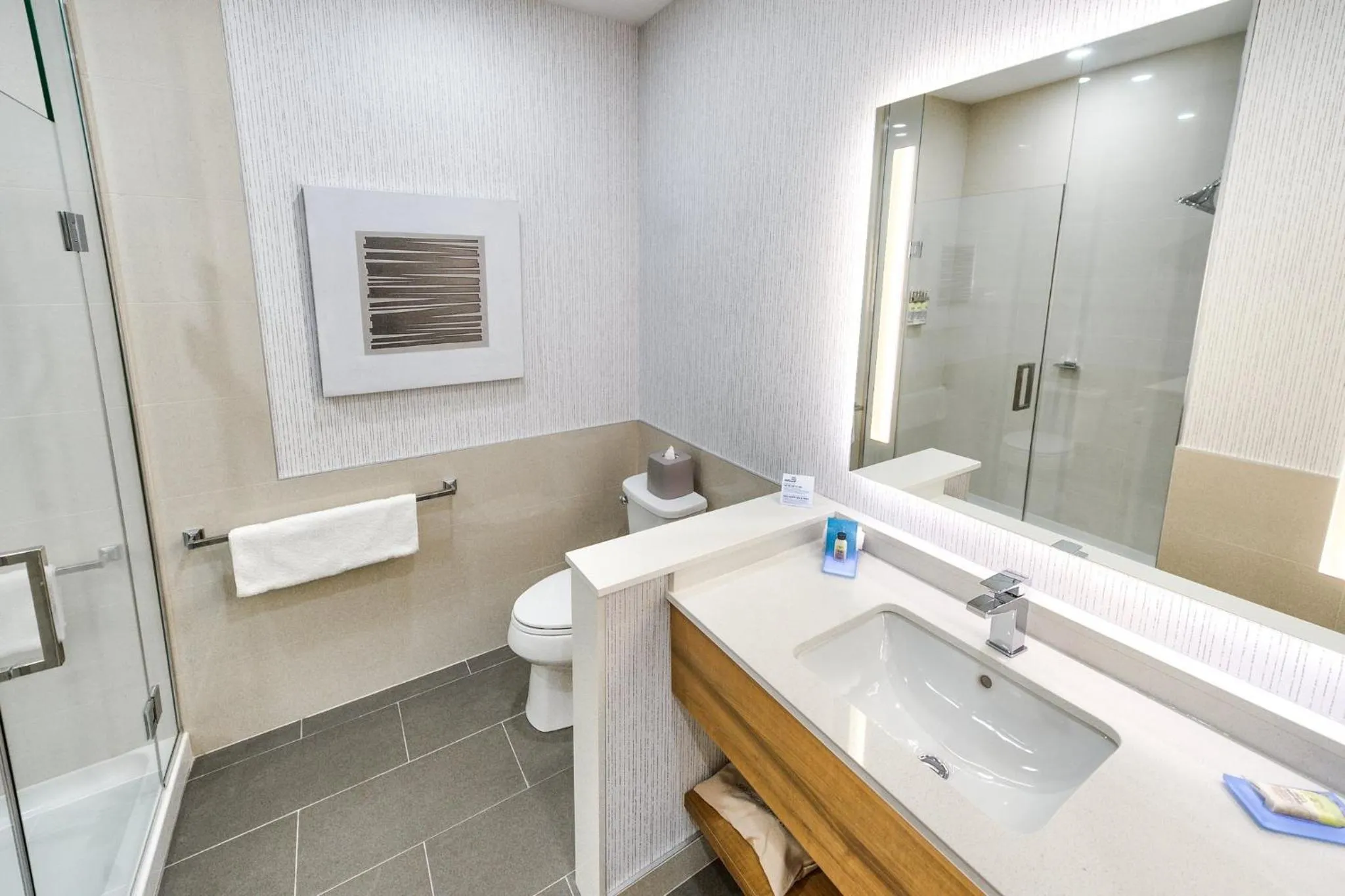 Bathroom in Holiday Inn Express & Suites - Trois Rivieres Ouest by IHG