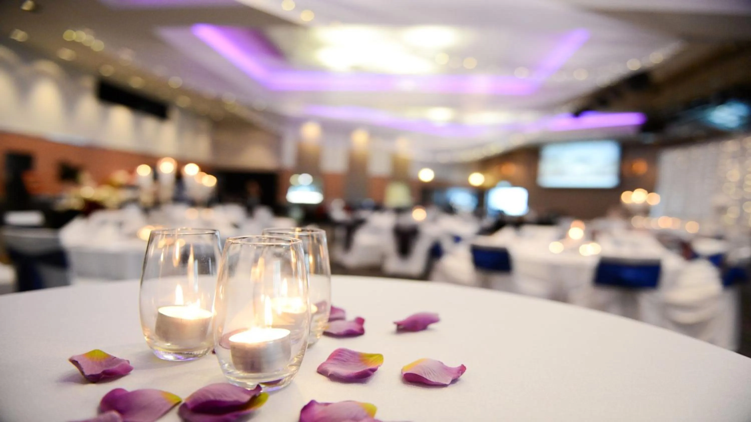Banquet/Function facilities in Holiday Inn Sydney St Marys by IHG