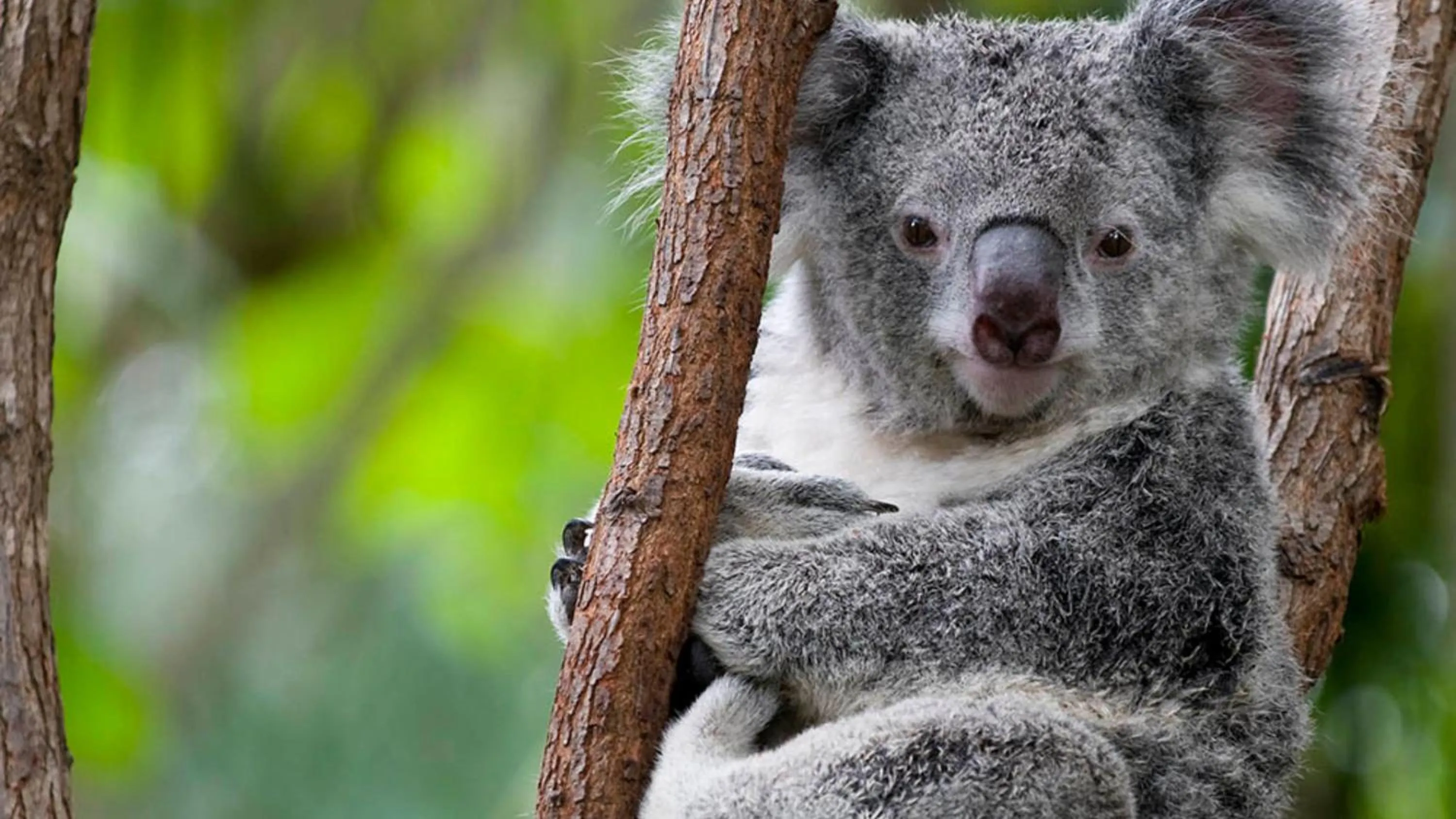 Area and facilities in Holiday Inn Sydney St Marys by IHG