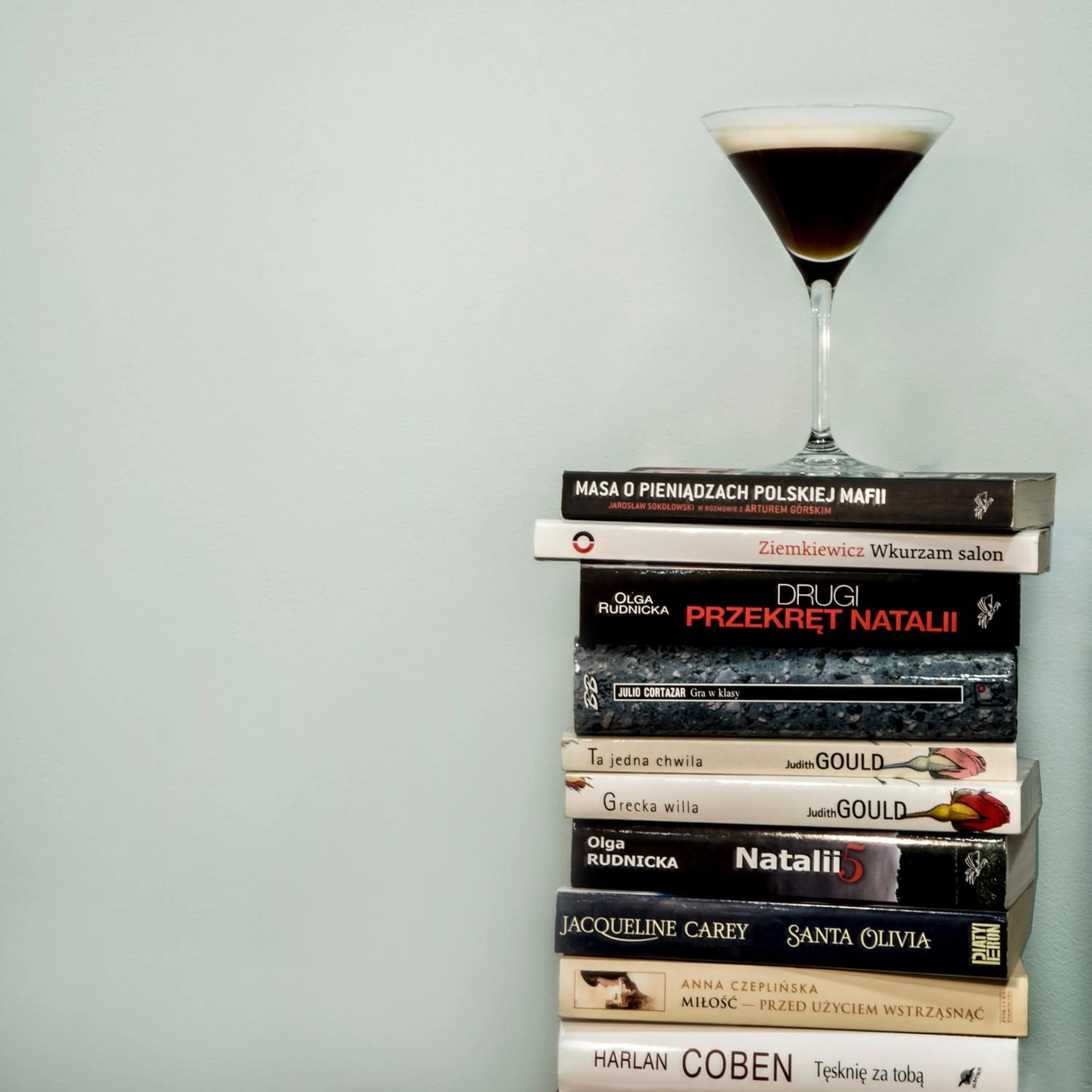 Library in Pensjonat Hagi