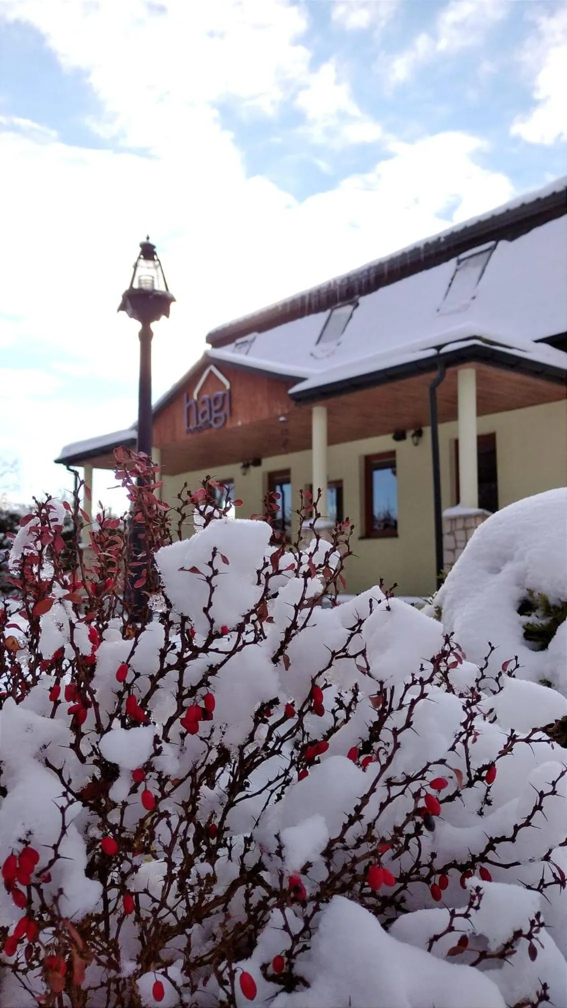 Property building in Pensjonat Hagi