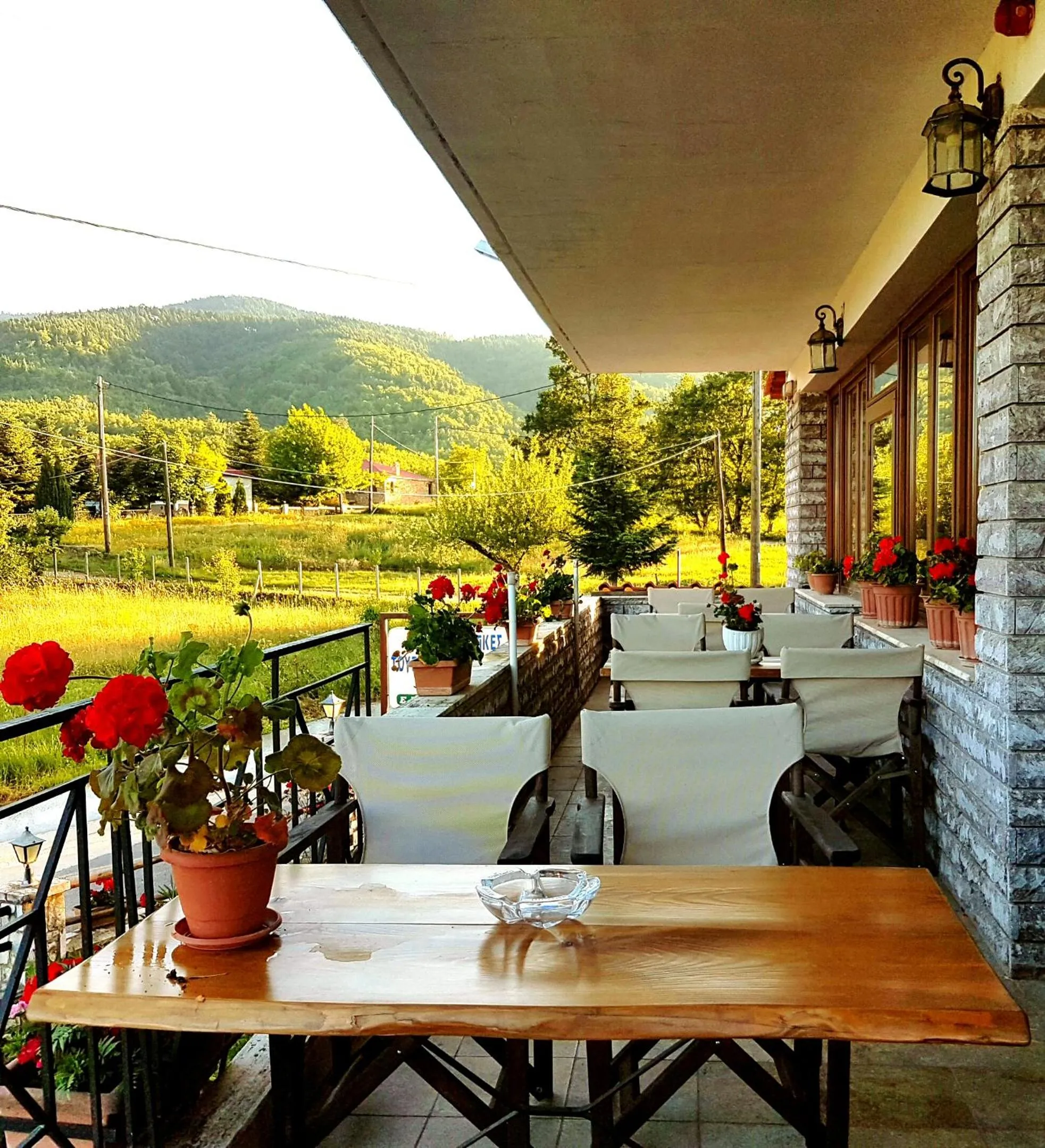 Natural landscape in Hotel Odysseas
