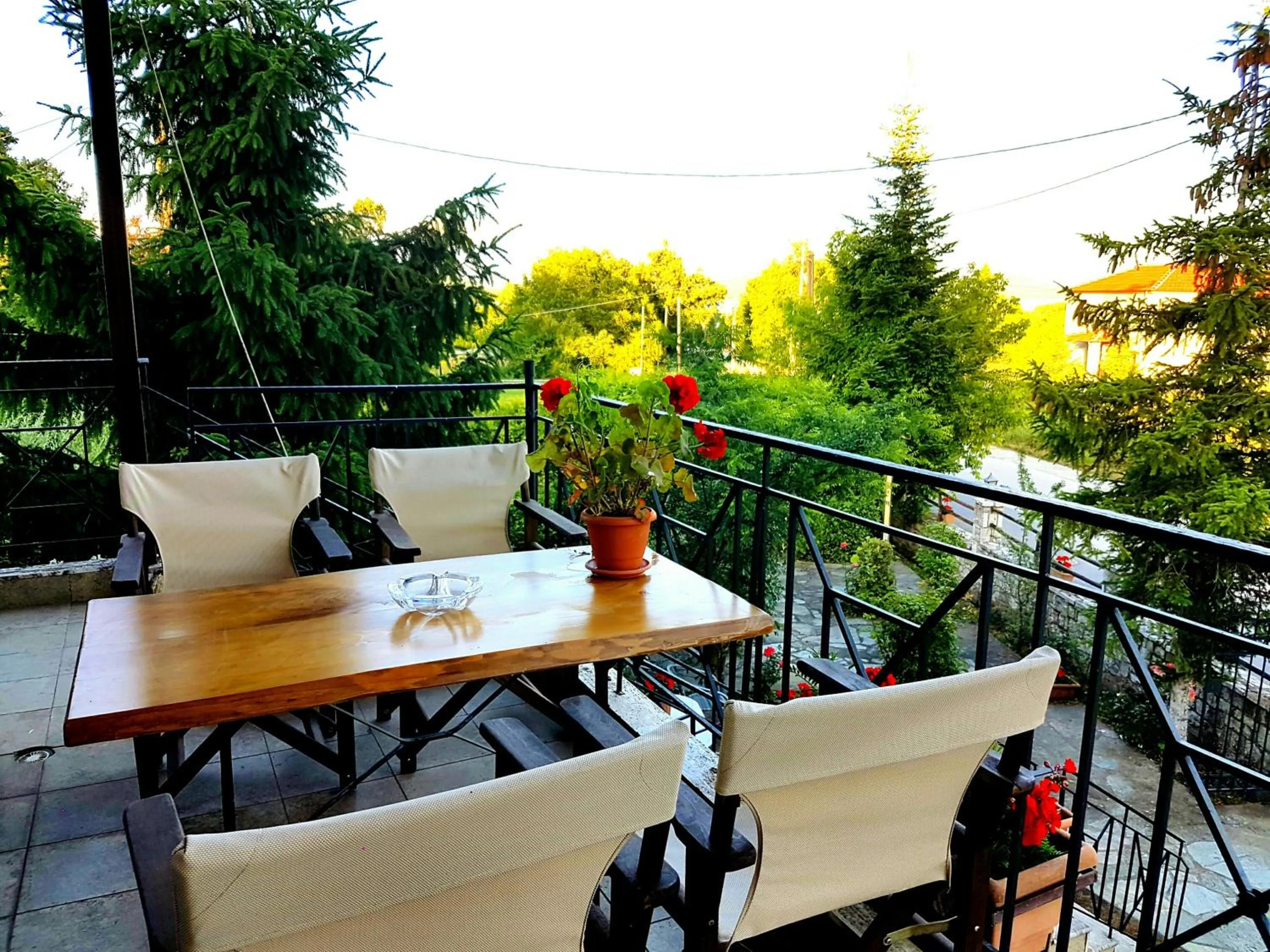 Natural landscape in Hotel Odysseas