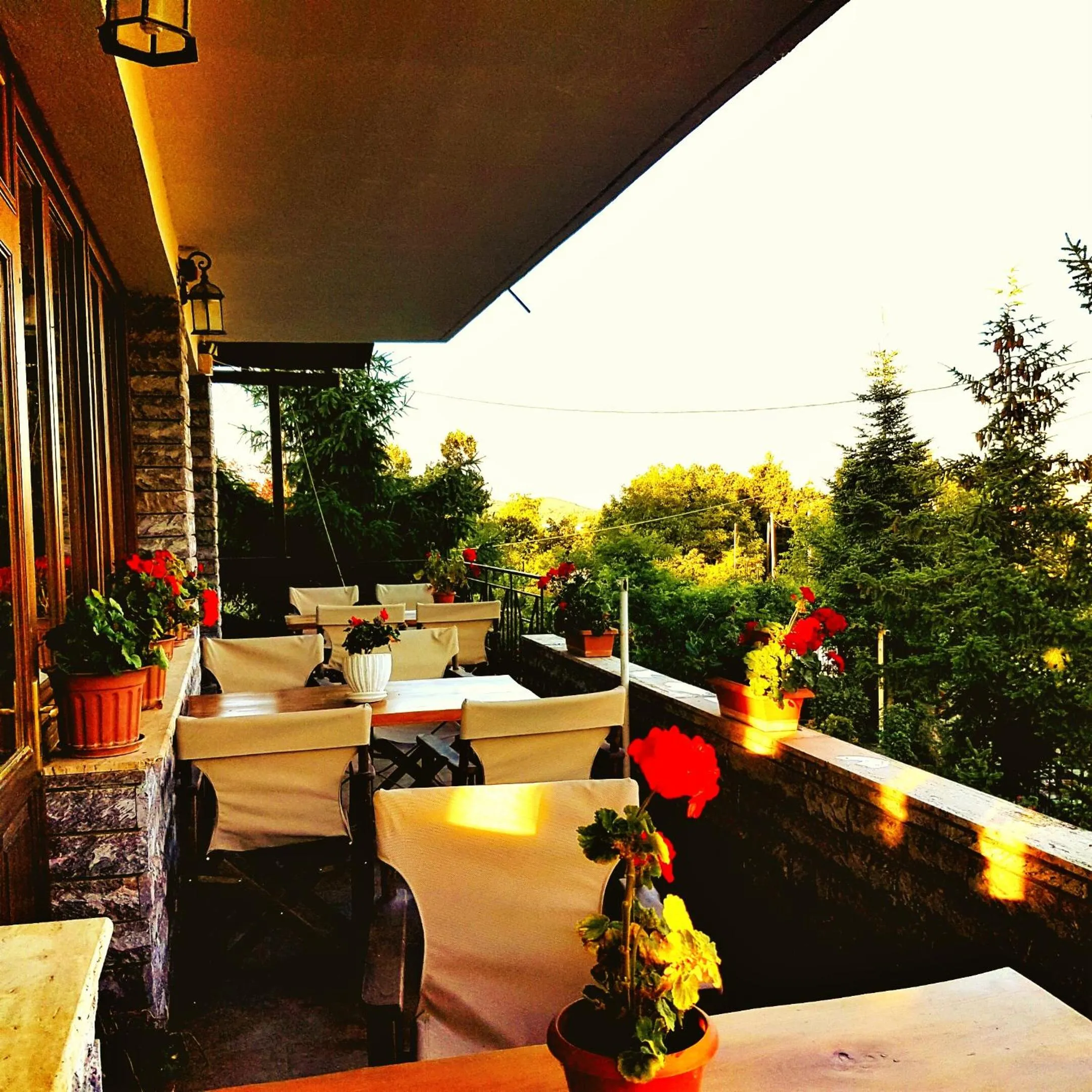 Balcony/Terrace in Hotel Odysseas