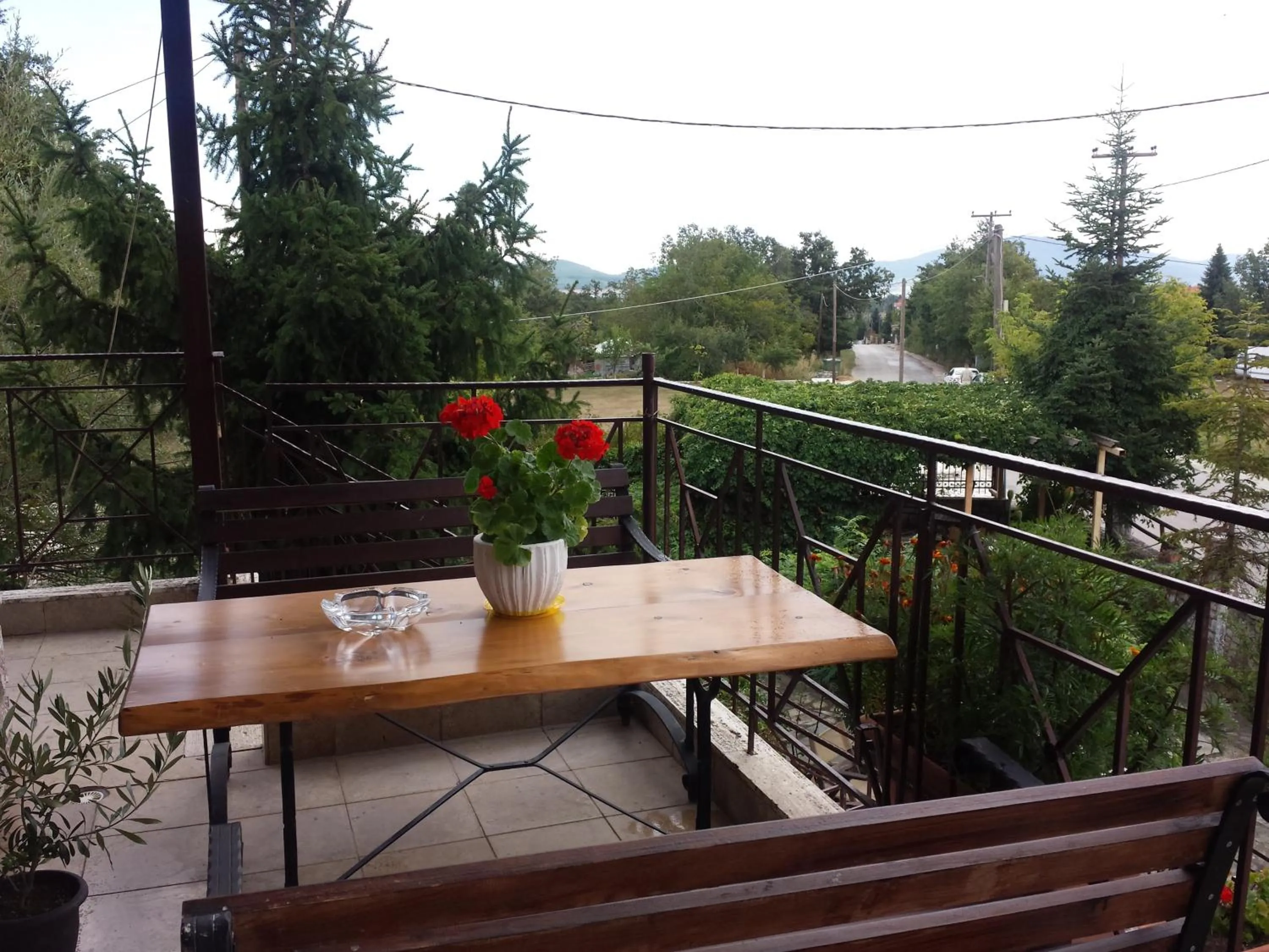 Day in Hotel Odysseas