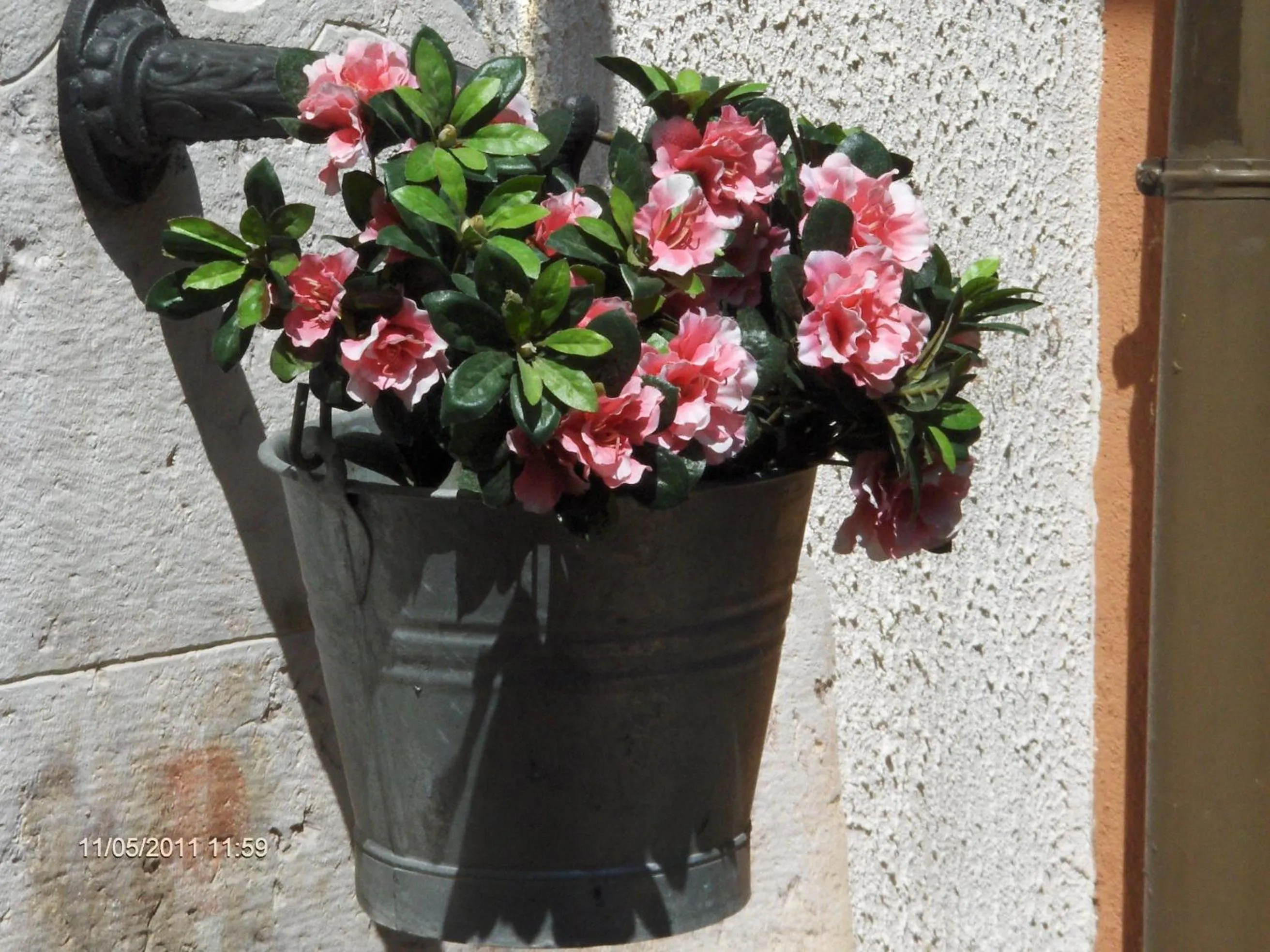 Spring in Residence Concaverde