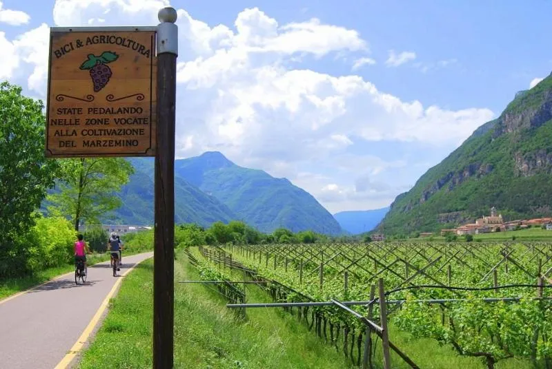 Day in Residence Concaverde