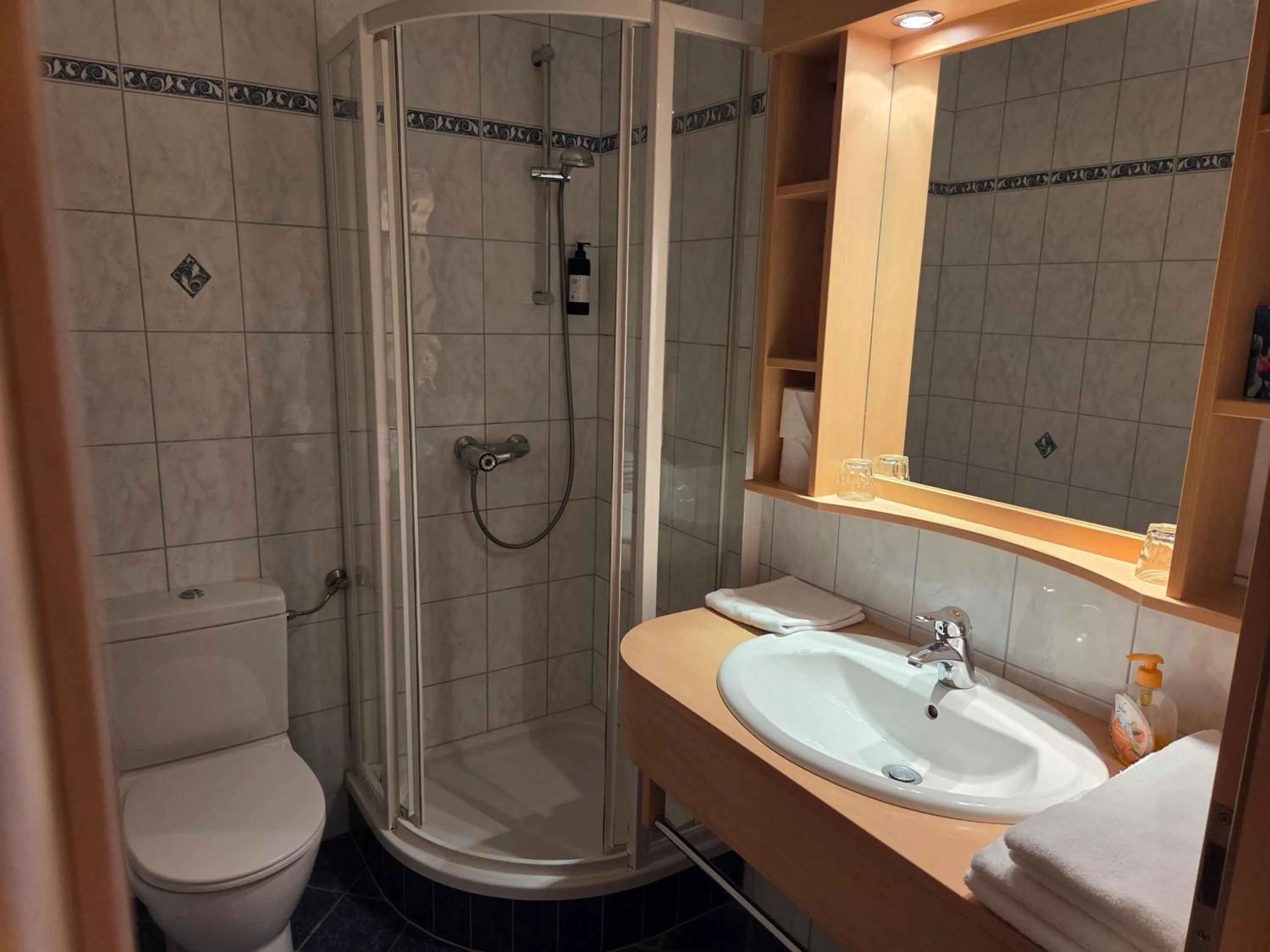 Bathroom in Hotel Restaurant Raunig