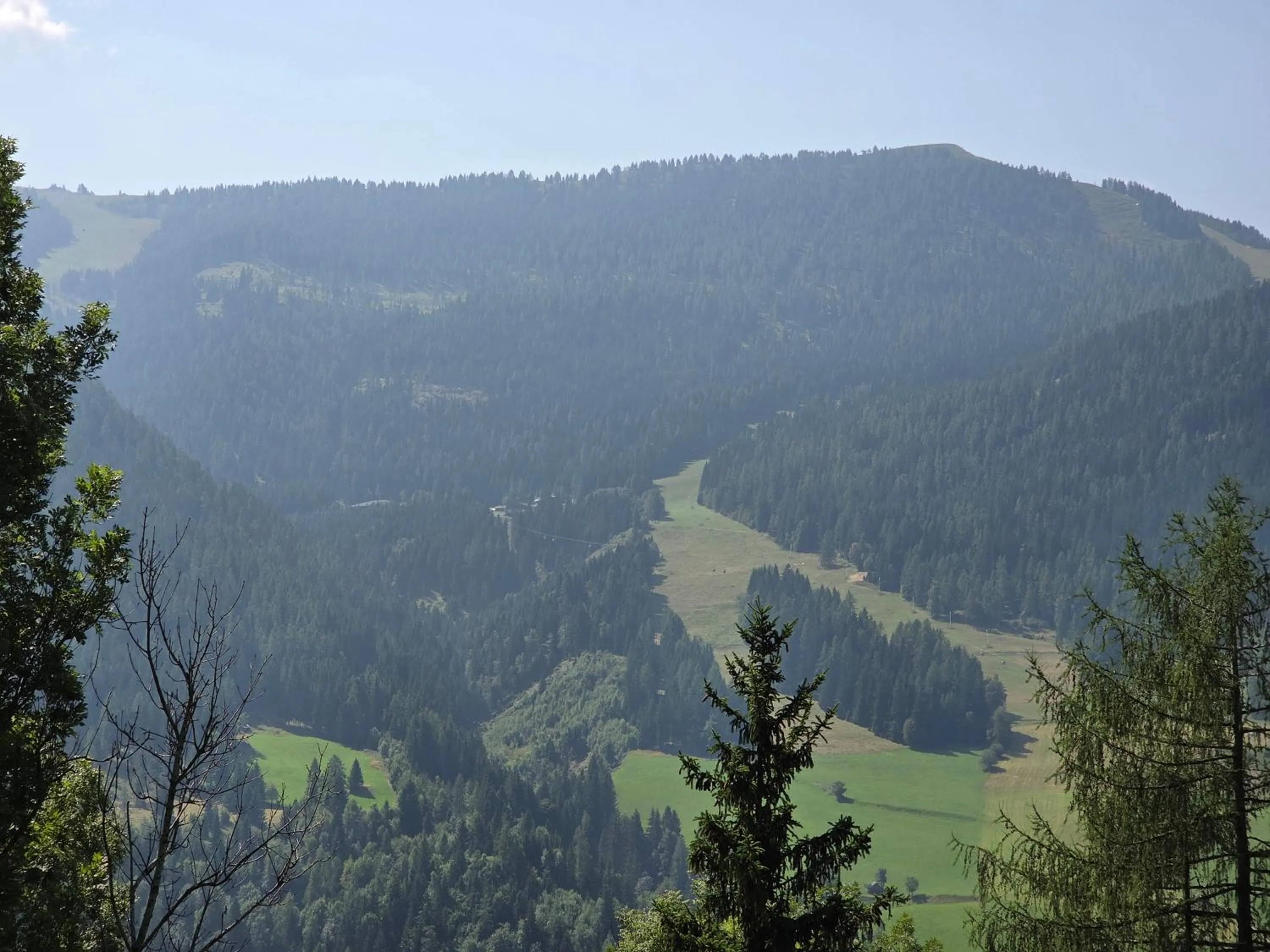 Spring in Hotel Restaurant Raunig